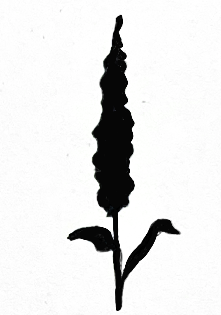 IMG_4365.png