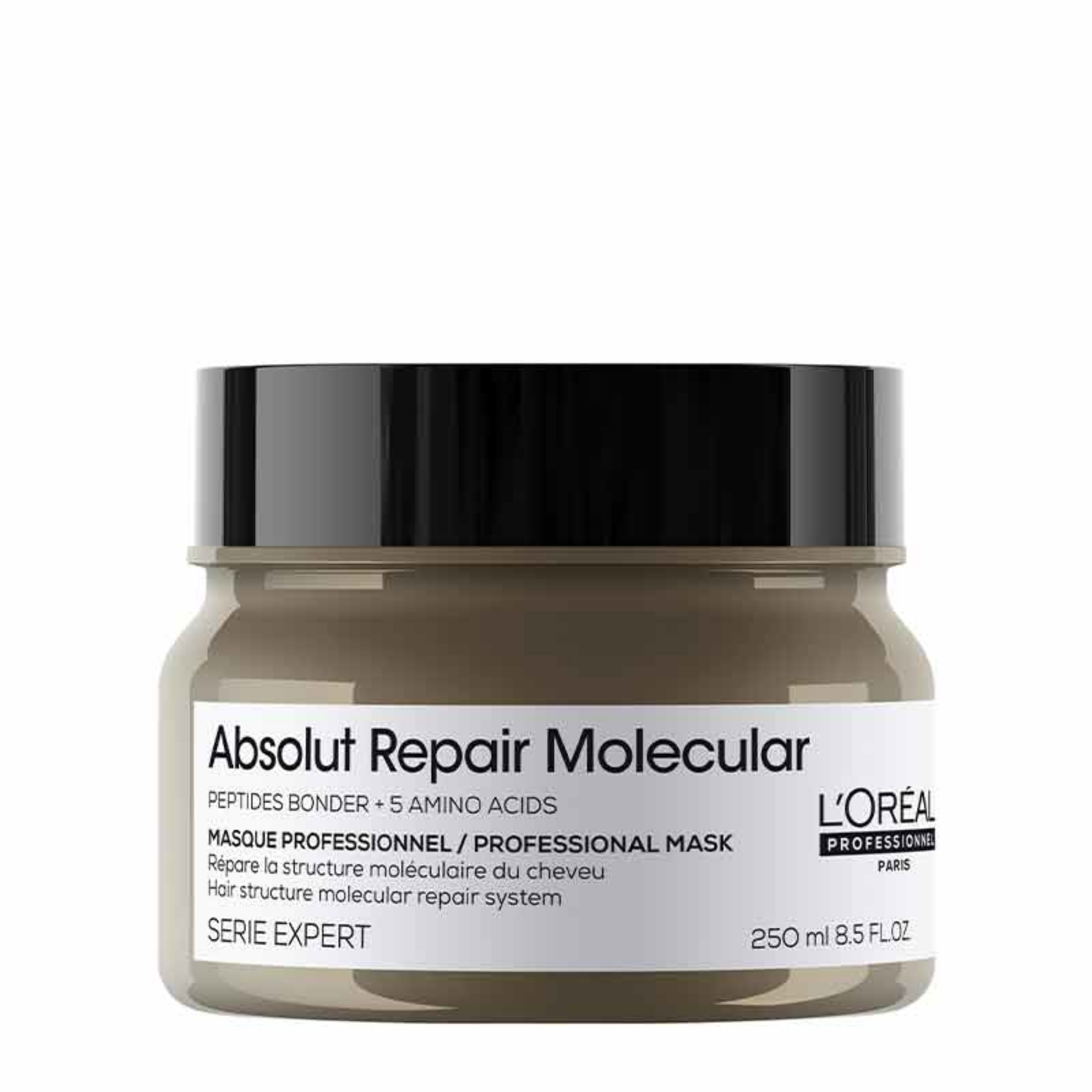 Loreal Professionnel Absolut Repair Molecular Mask 250ml