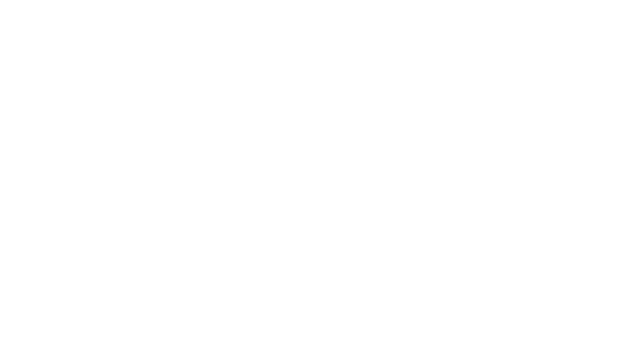 SIFF2011_selection1 white.png