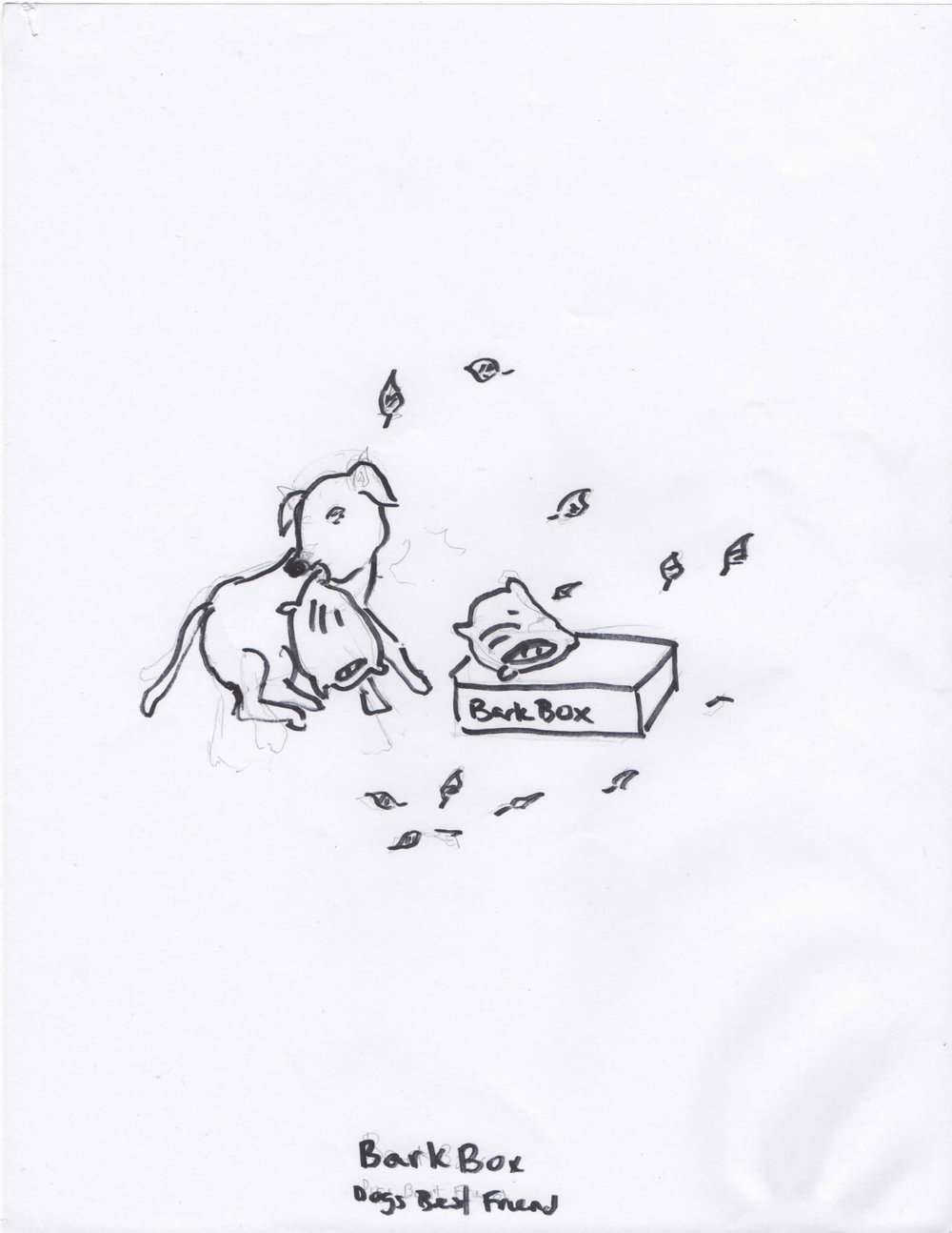 Pencil sketch of a happy dog and its barkbox having a pillow fight