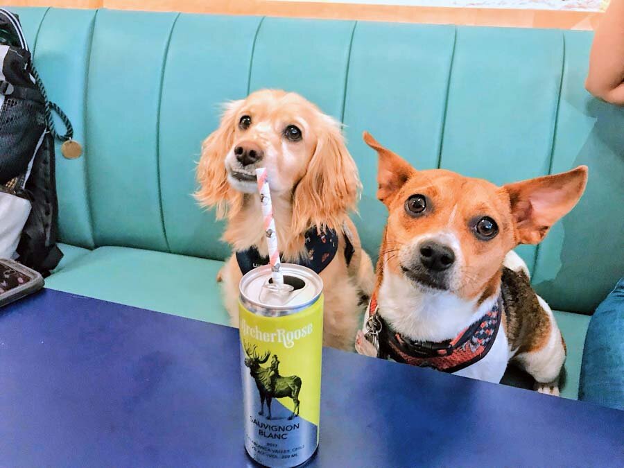 Dog-friendly cafe and restaurant NYC