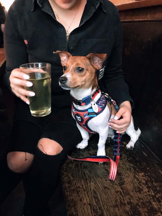 Dog friendly cash only bar NYC