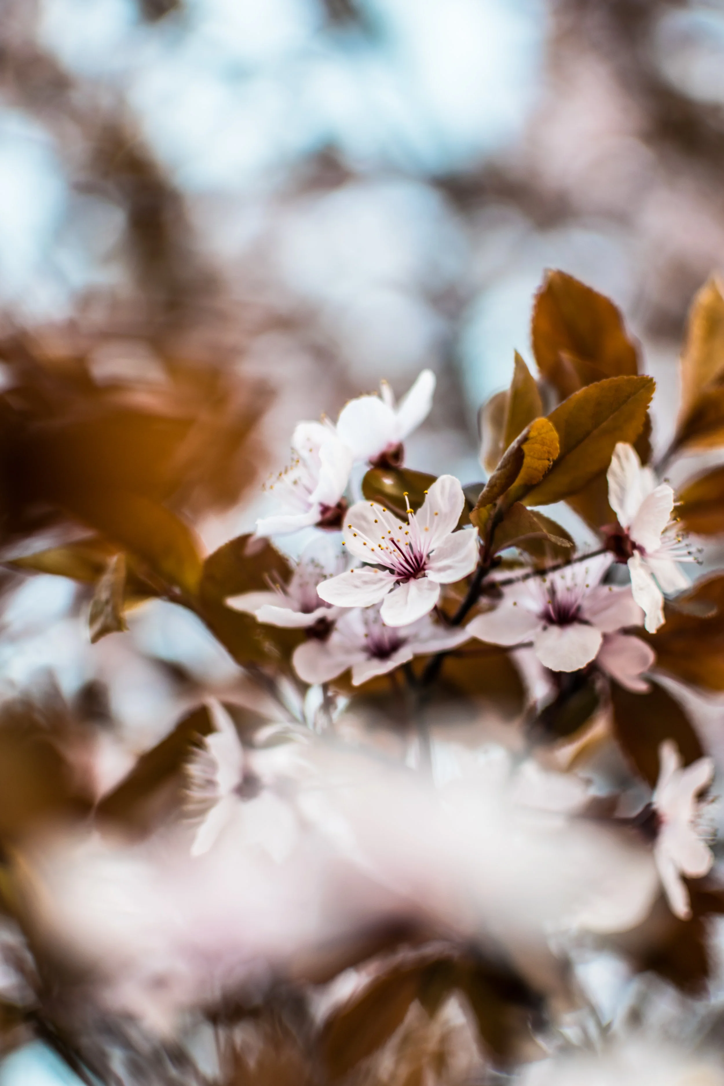 Letter from the Rector: Exploring Sacred Space