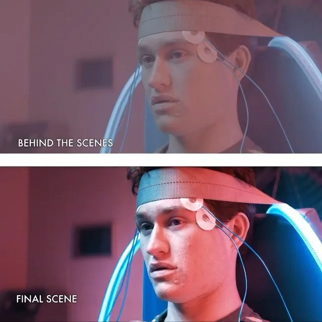 Eggplant Picture & Sound