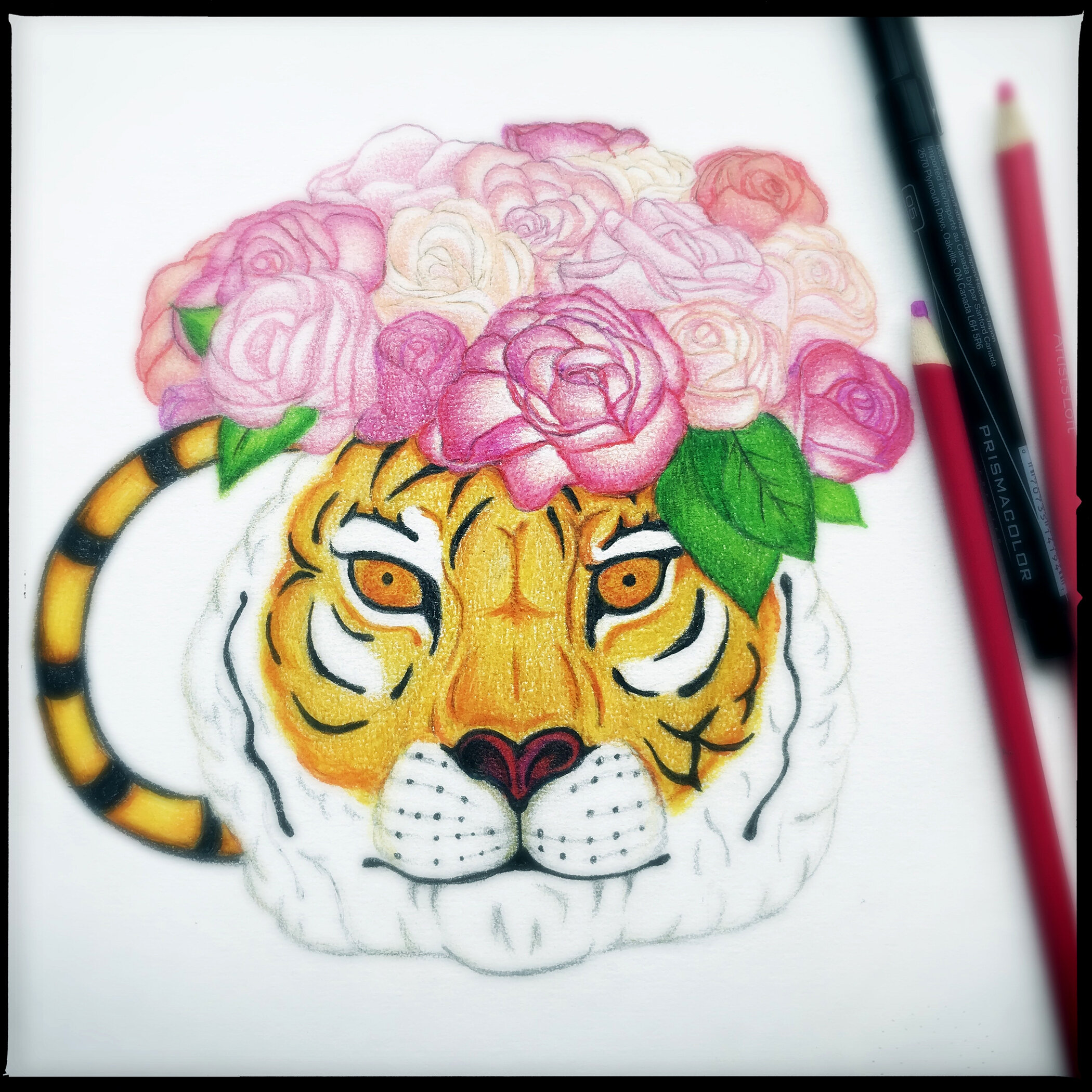 3_tigerflowers_pencil_April202_MoreColor.jpg