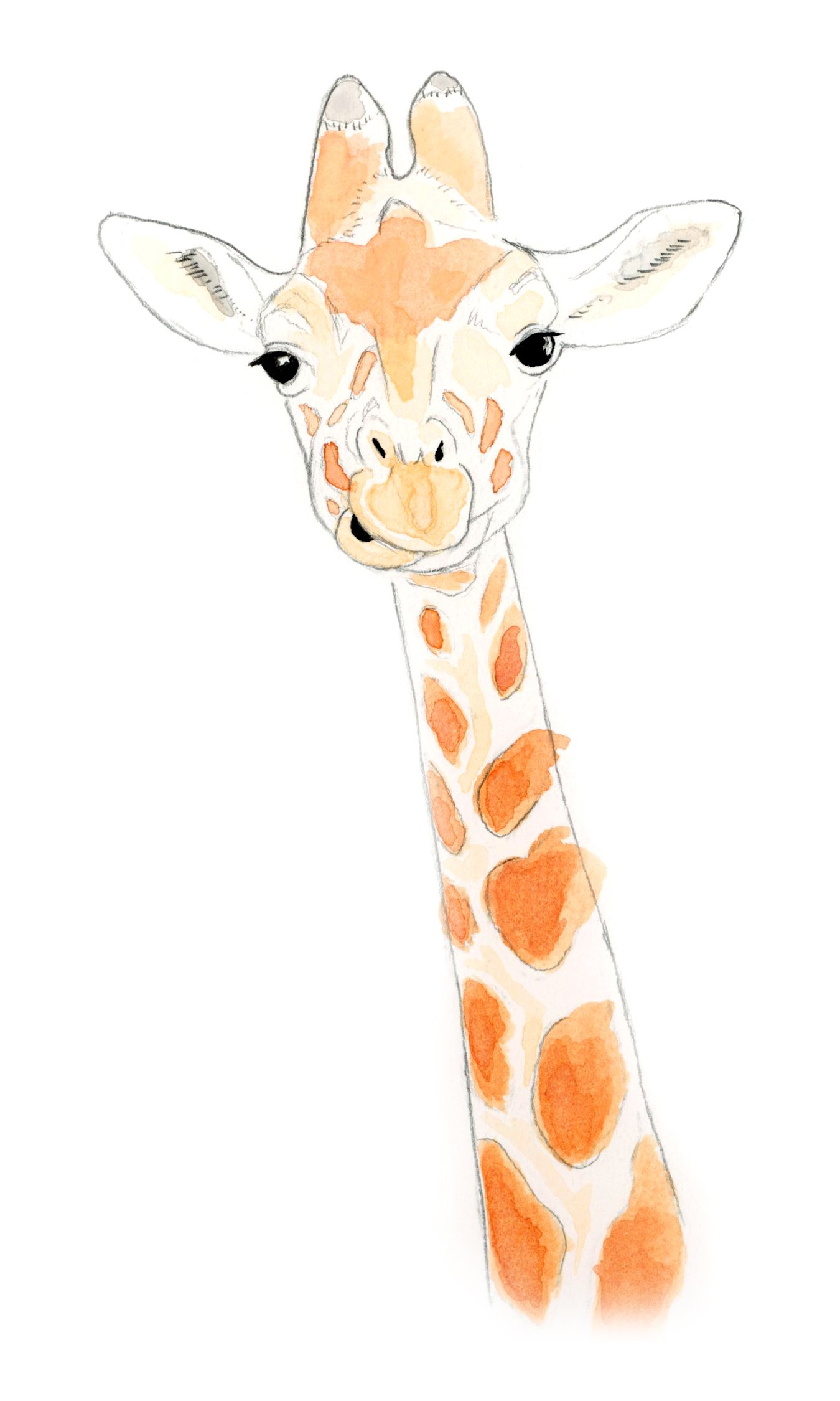 ART_scan_Animal_Giraffe.jpg
