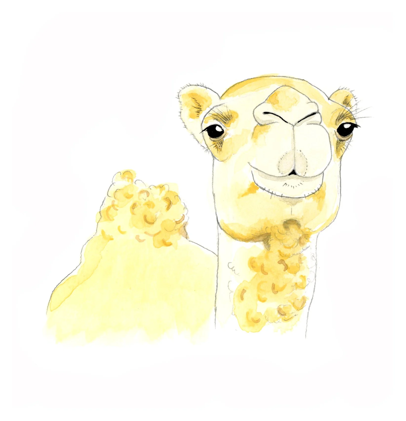 ART_scan_Animal_Camel2.jpg