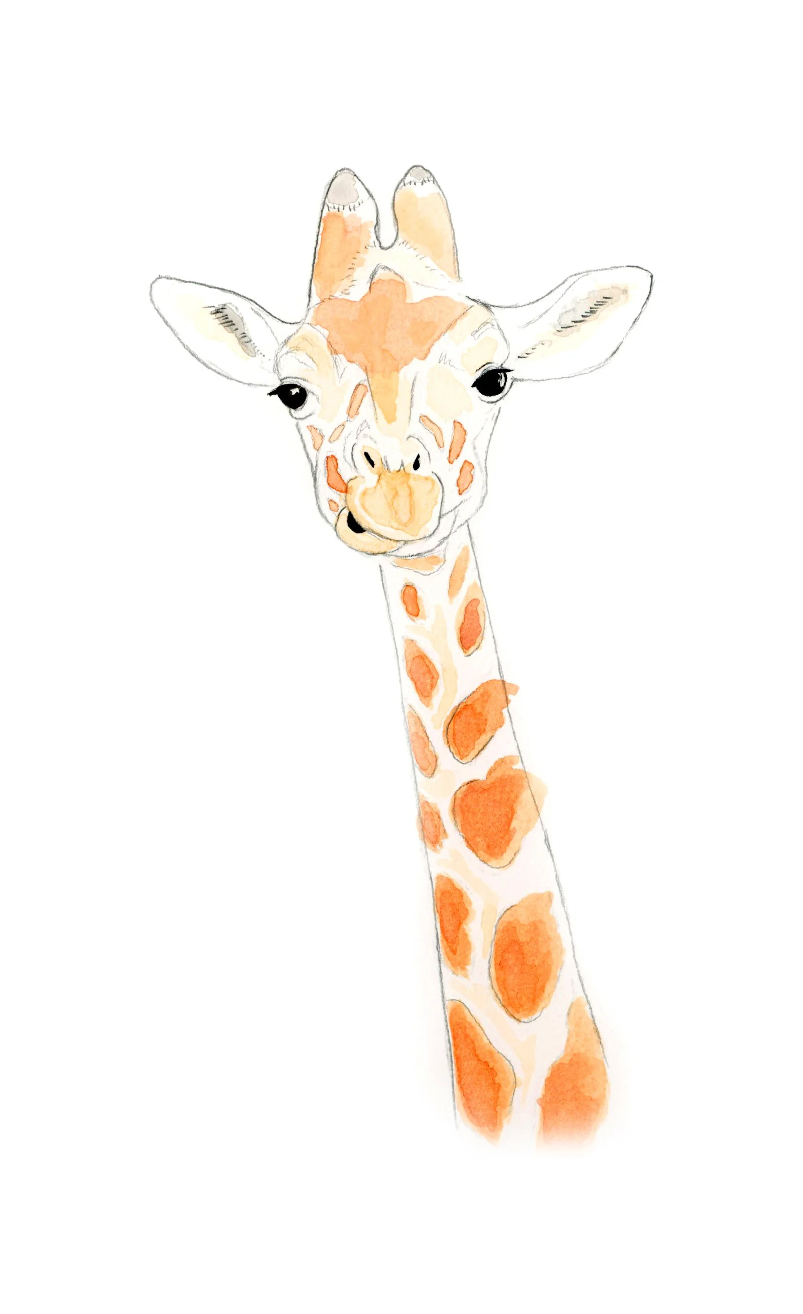 ART_scan_Animal_Giraffe2.jpg