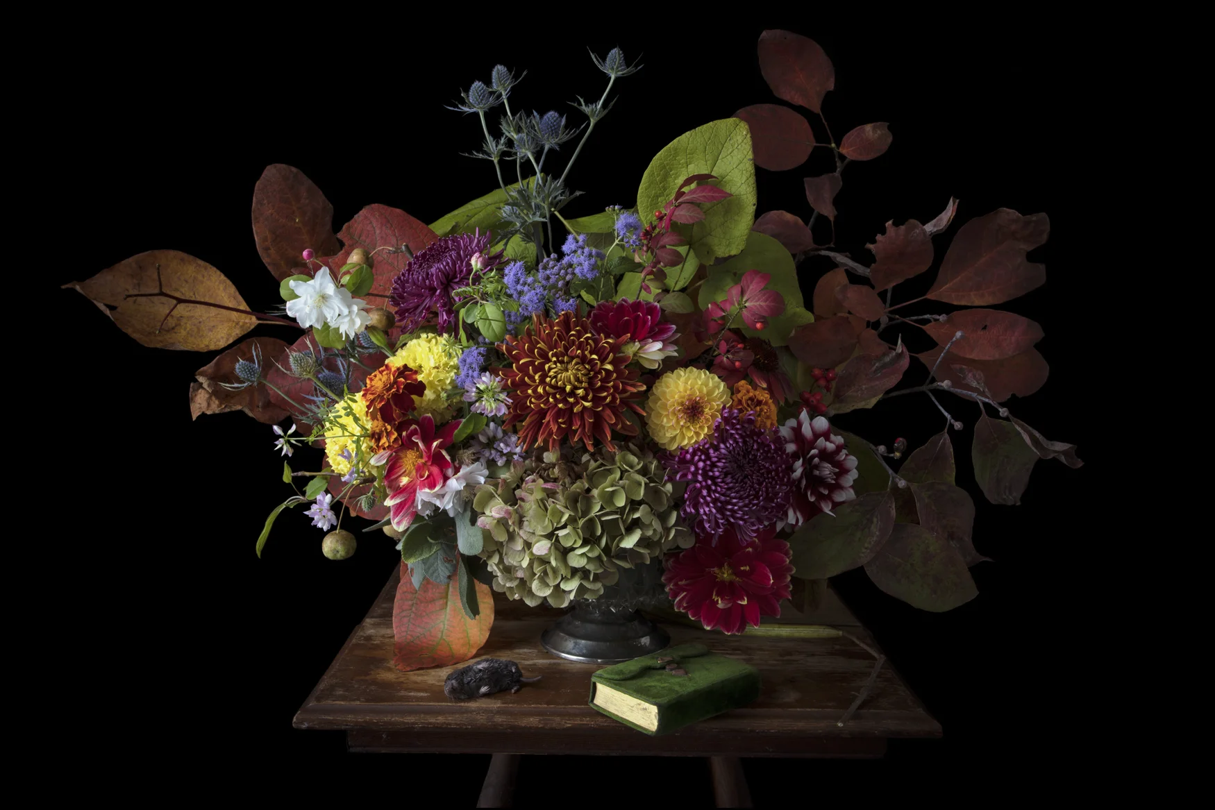 13_october_bouquetVole_0076.jpg