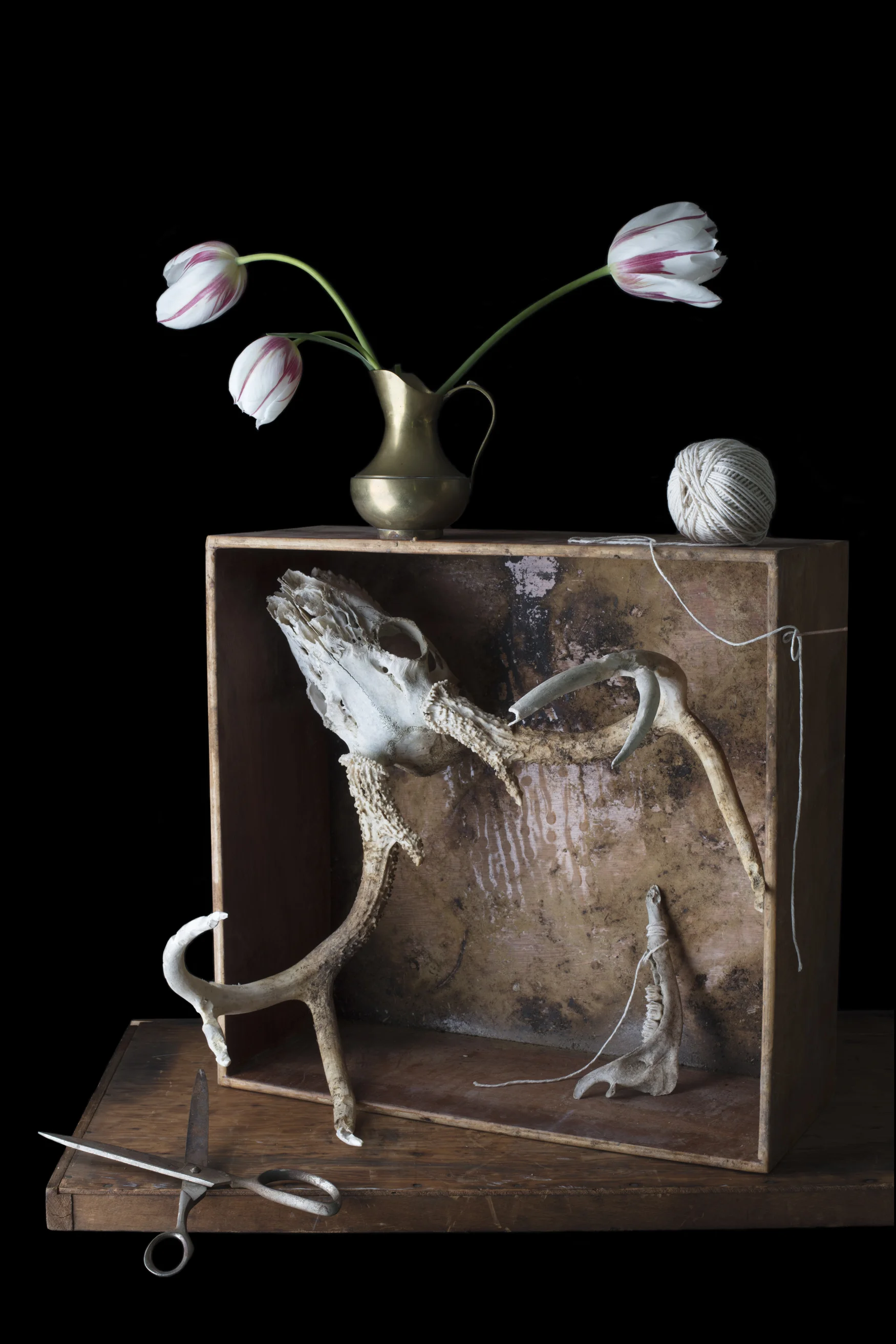 9May_2017_DeerAntler_table.jpg
