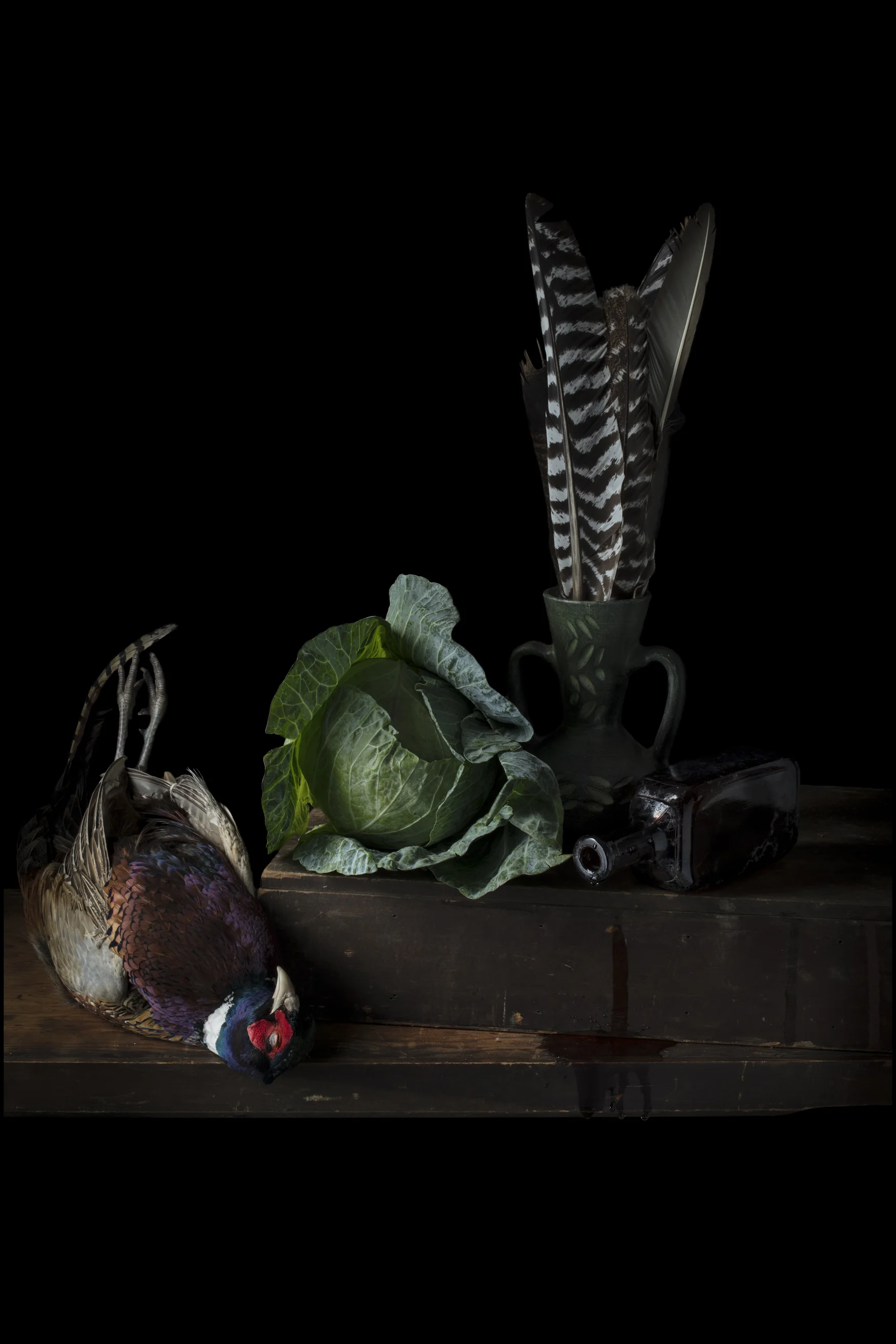 24March_2017_Cabbage_pheasant_edit.jpg