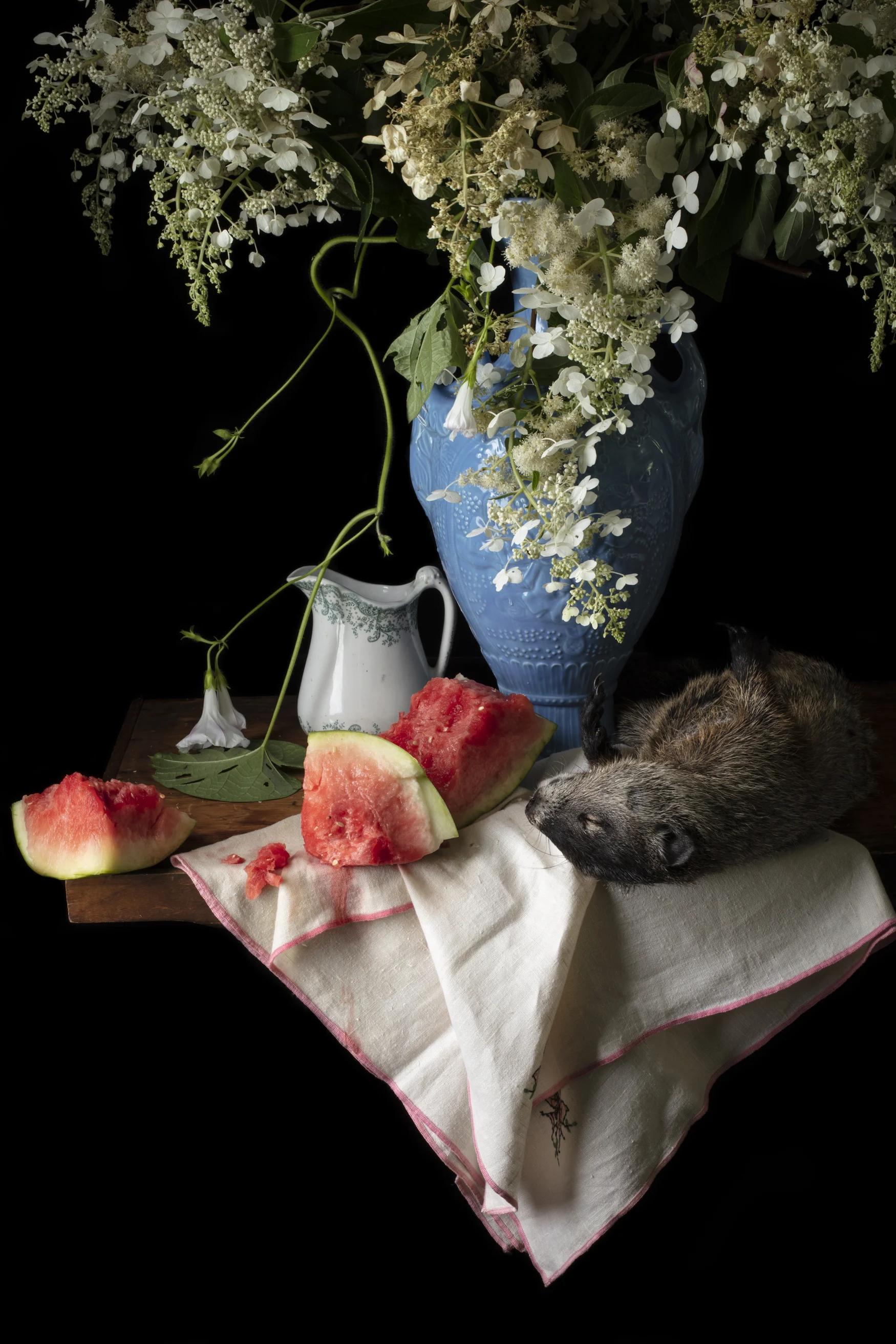 groundhog_watermelon_0037.jpg