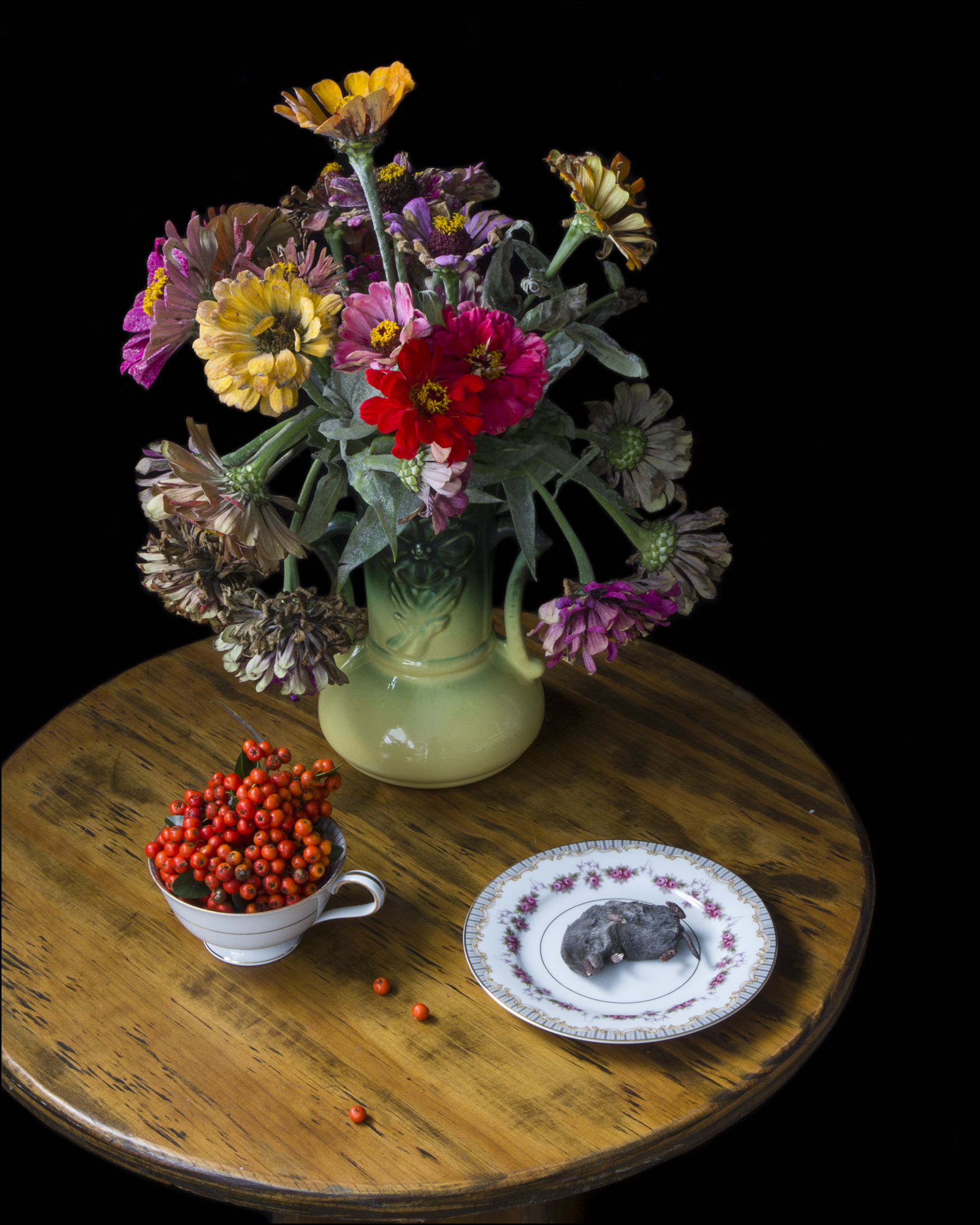 11mole_zinnias_0046-2.jpg