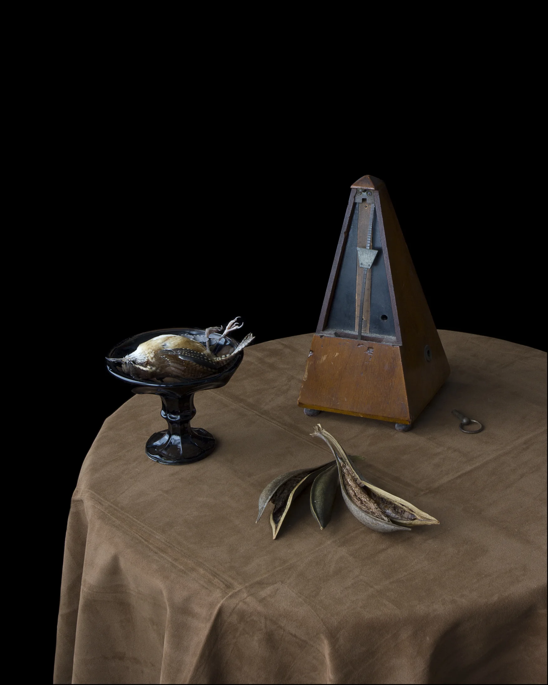 12SeedPodsMetronome.jpg