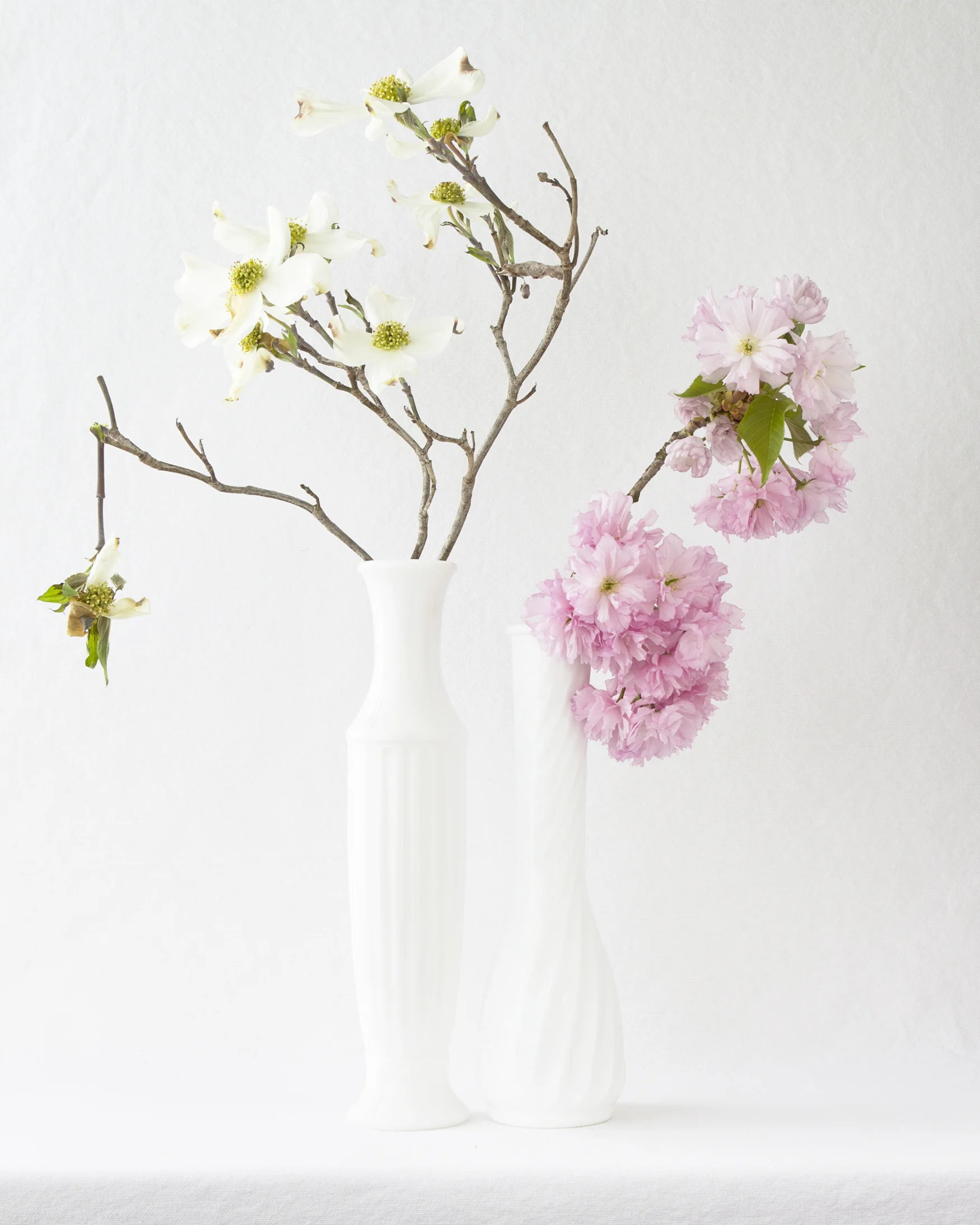 DogwoodandCherry1620.jpg