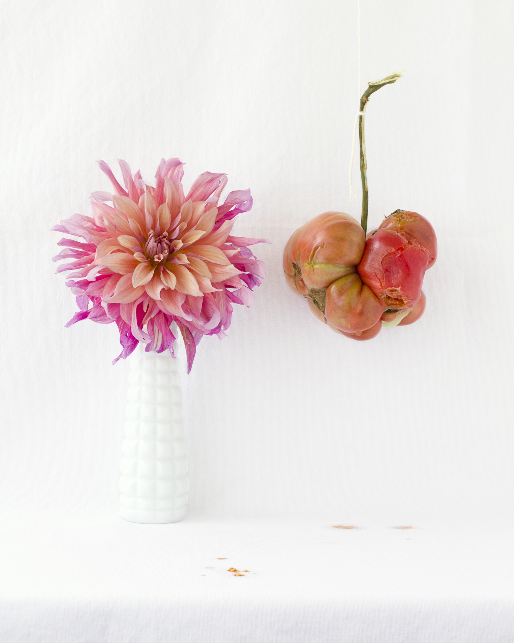 TomatoDahlia.jpg