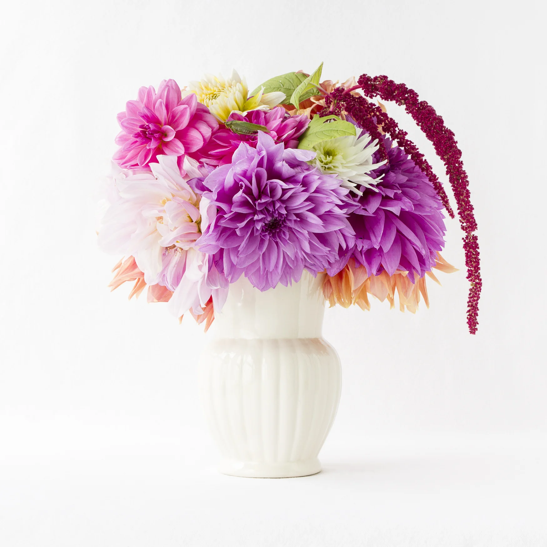 Vanitas_GrasshopperFlowers.jpg