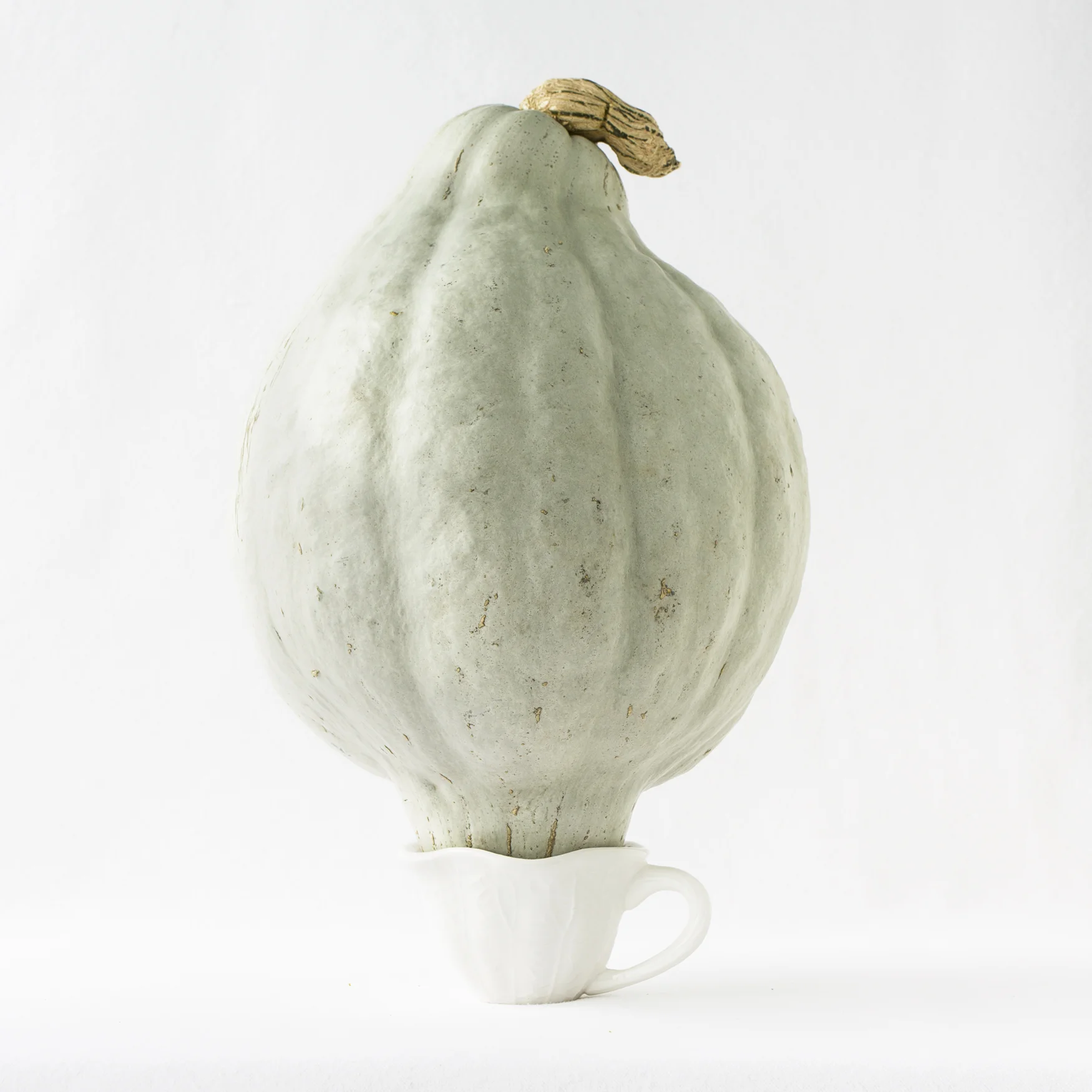 Vanitas_GreySquash.jpg