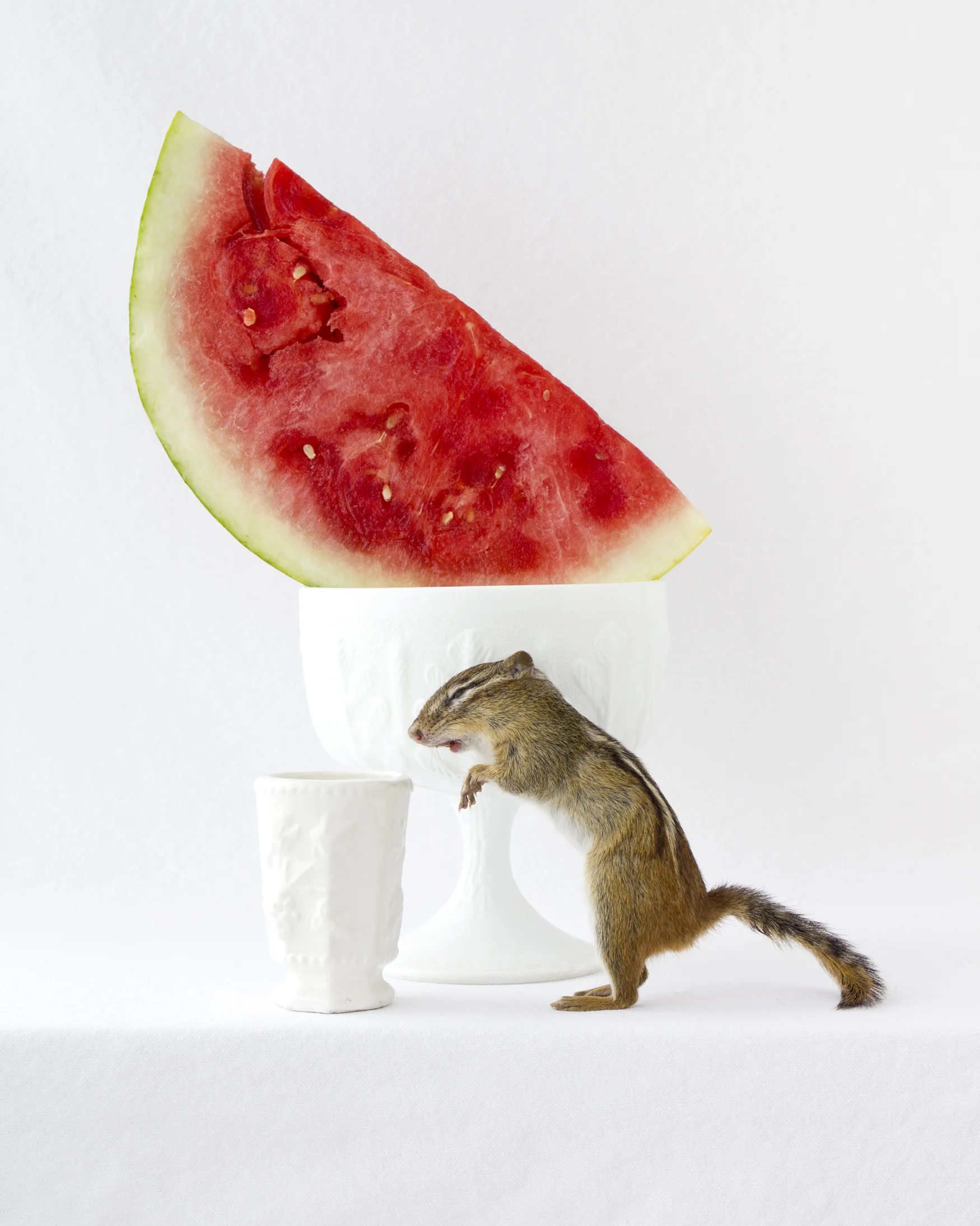 WatermelonCropped.jpg