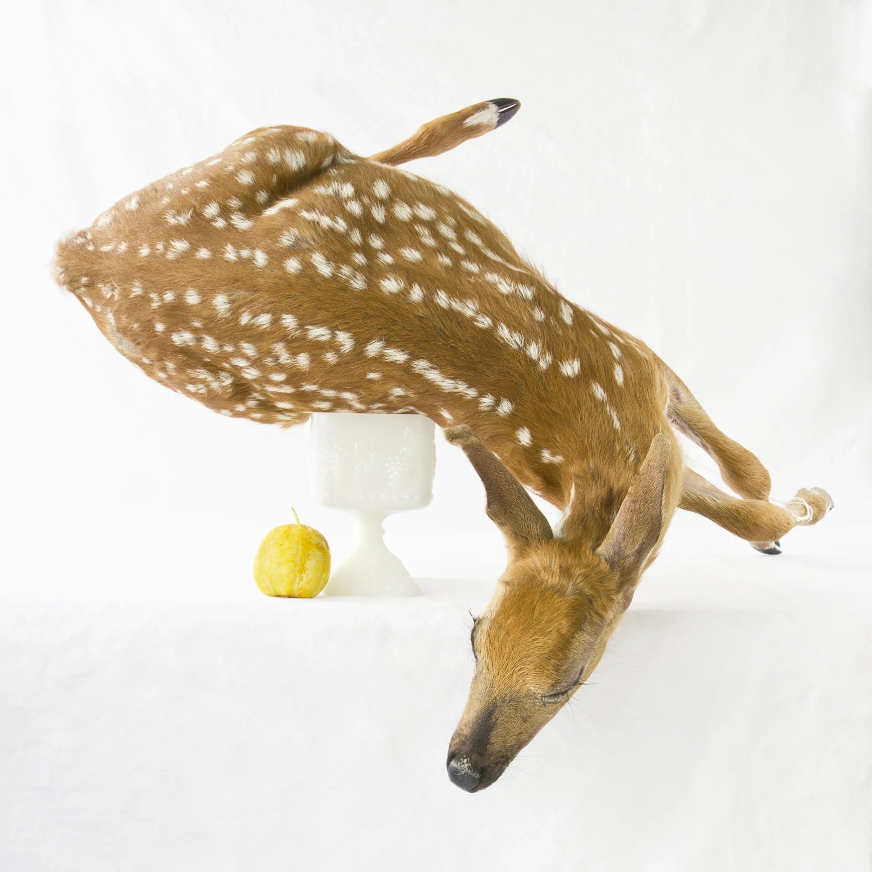 DeerLemonCucumber.jpg