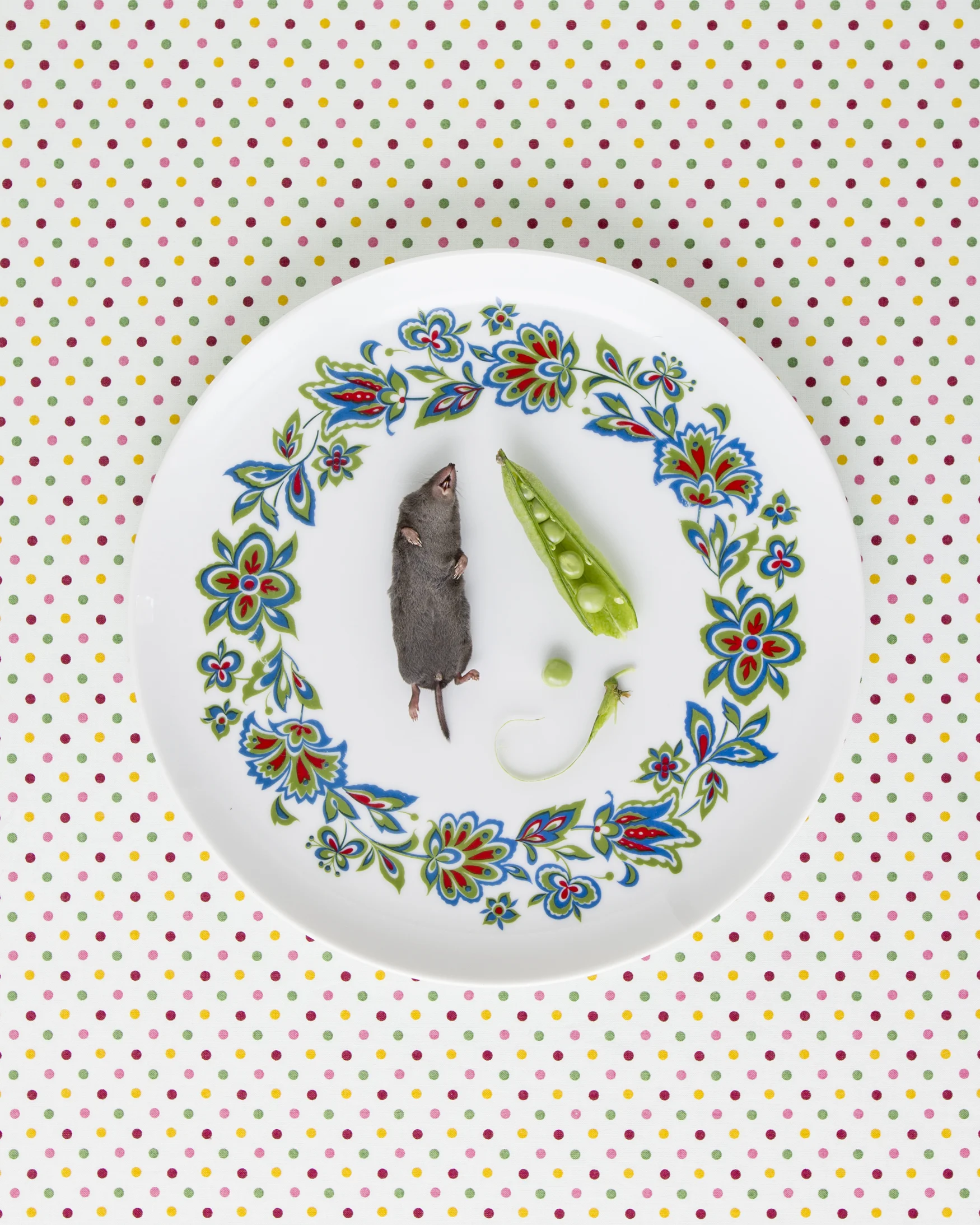 JulyDinnerPlates_0021_redo.jpg