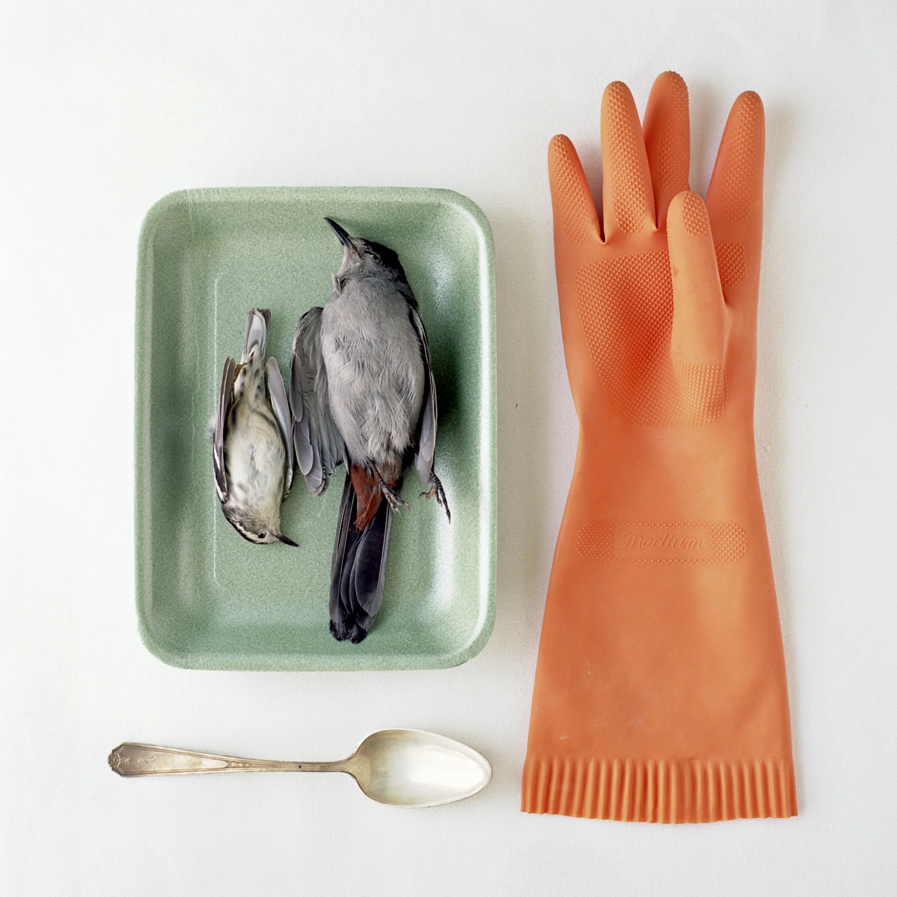 OrangeGlove18x18.jpg