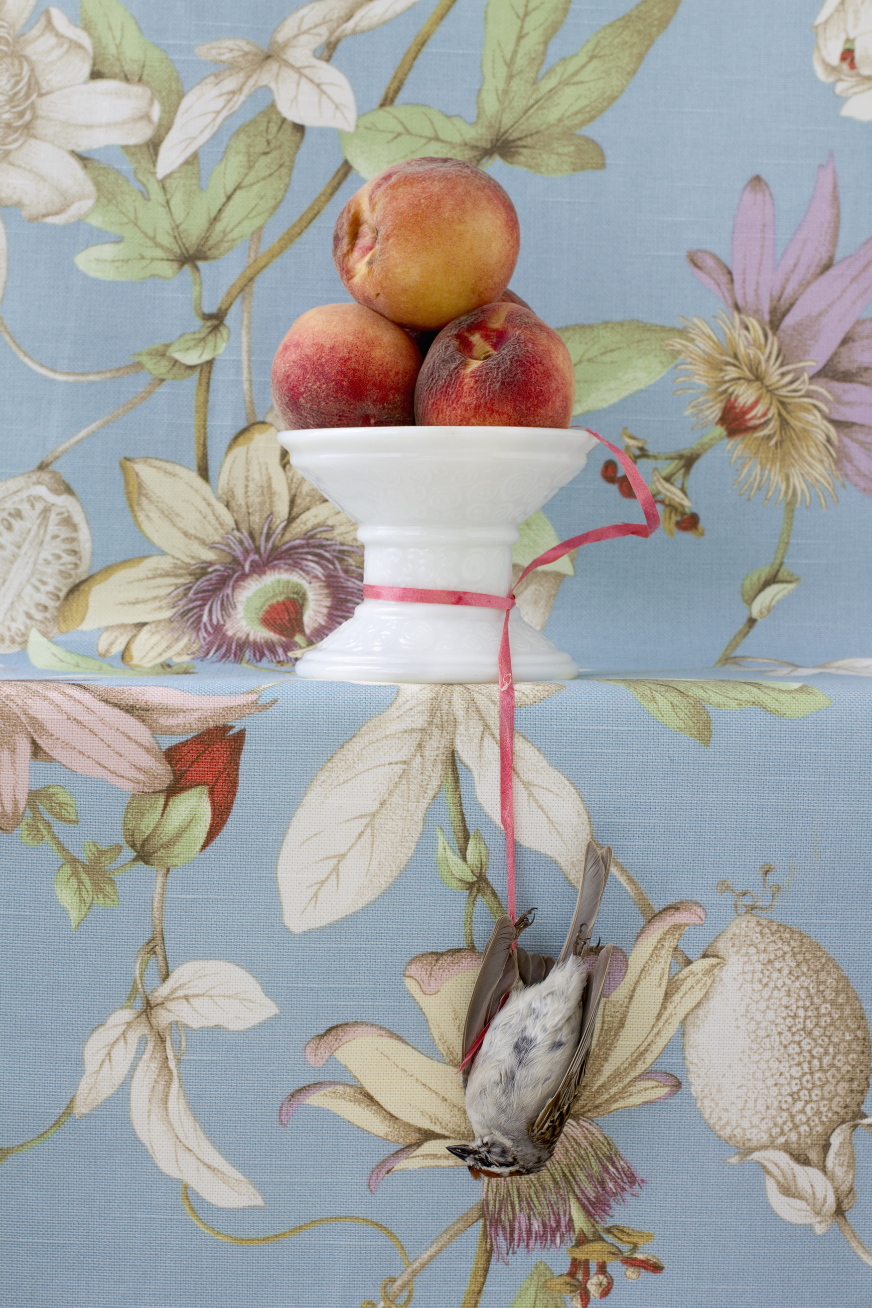 Peaches18x27_REDO.jpg
