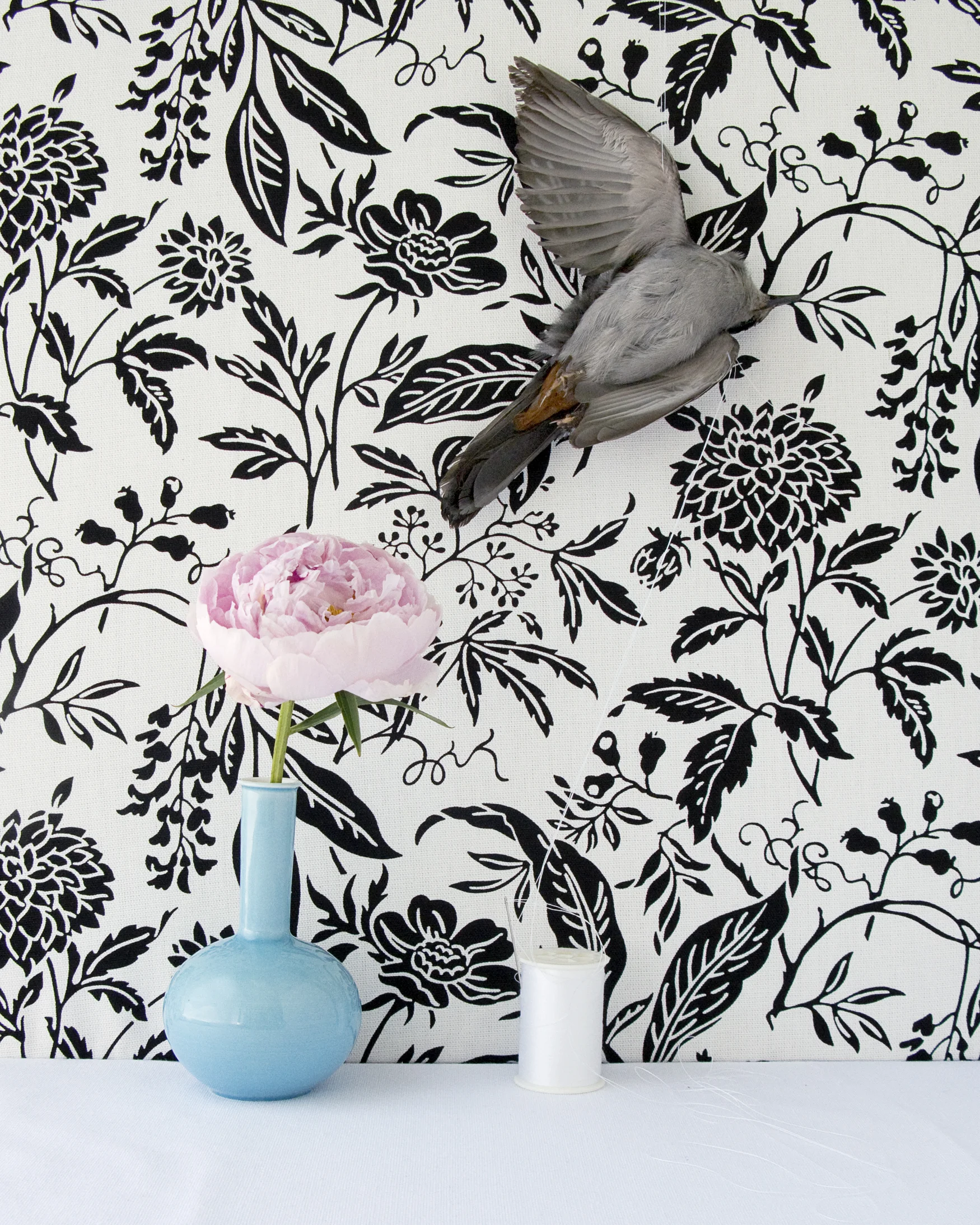 PeonyandCatbird16x20.jpg