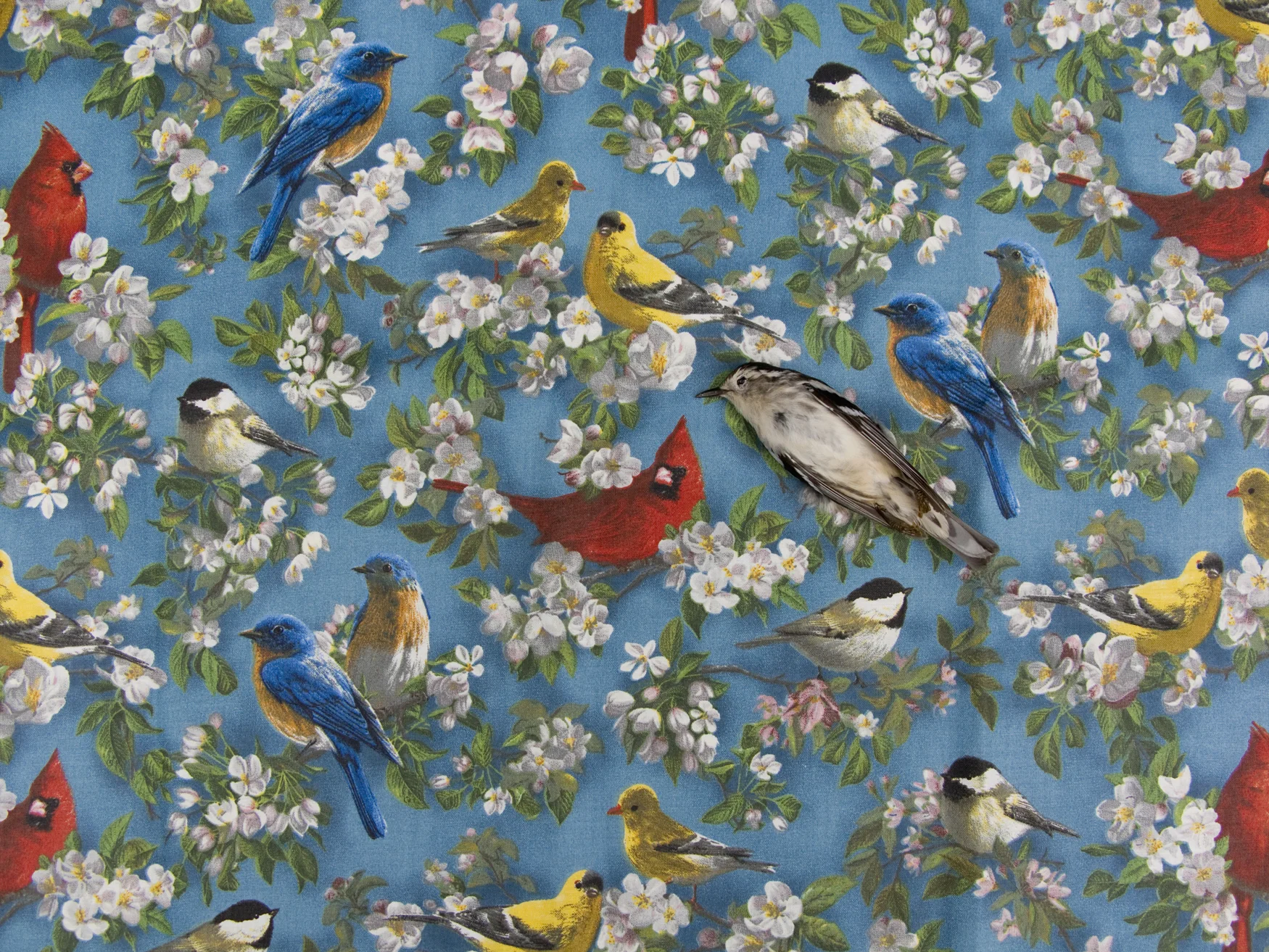 StillLifewithBirdWallpaper20x15.jpg