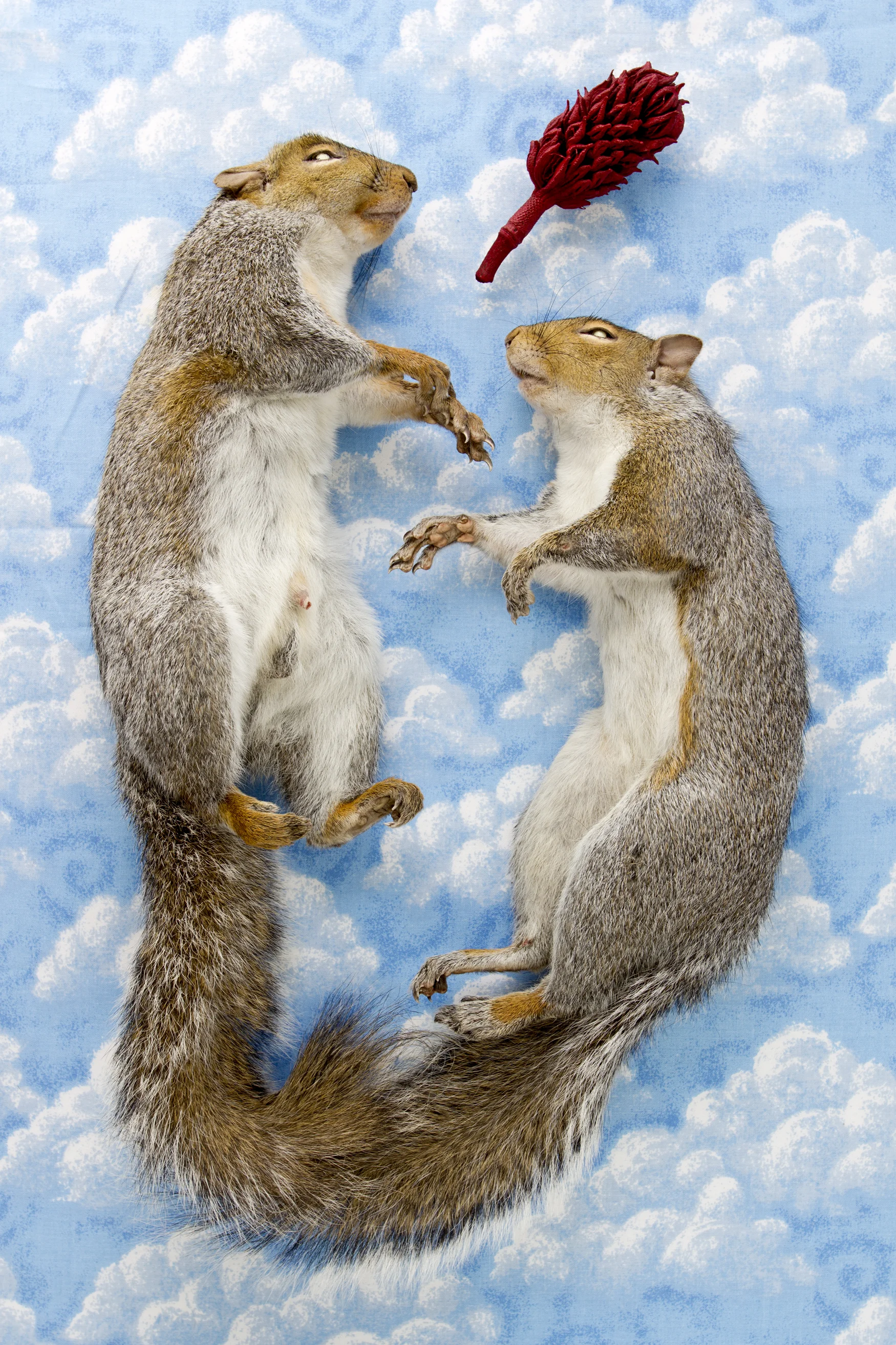 TwoSquirrels_18x27.jpg