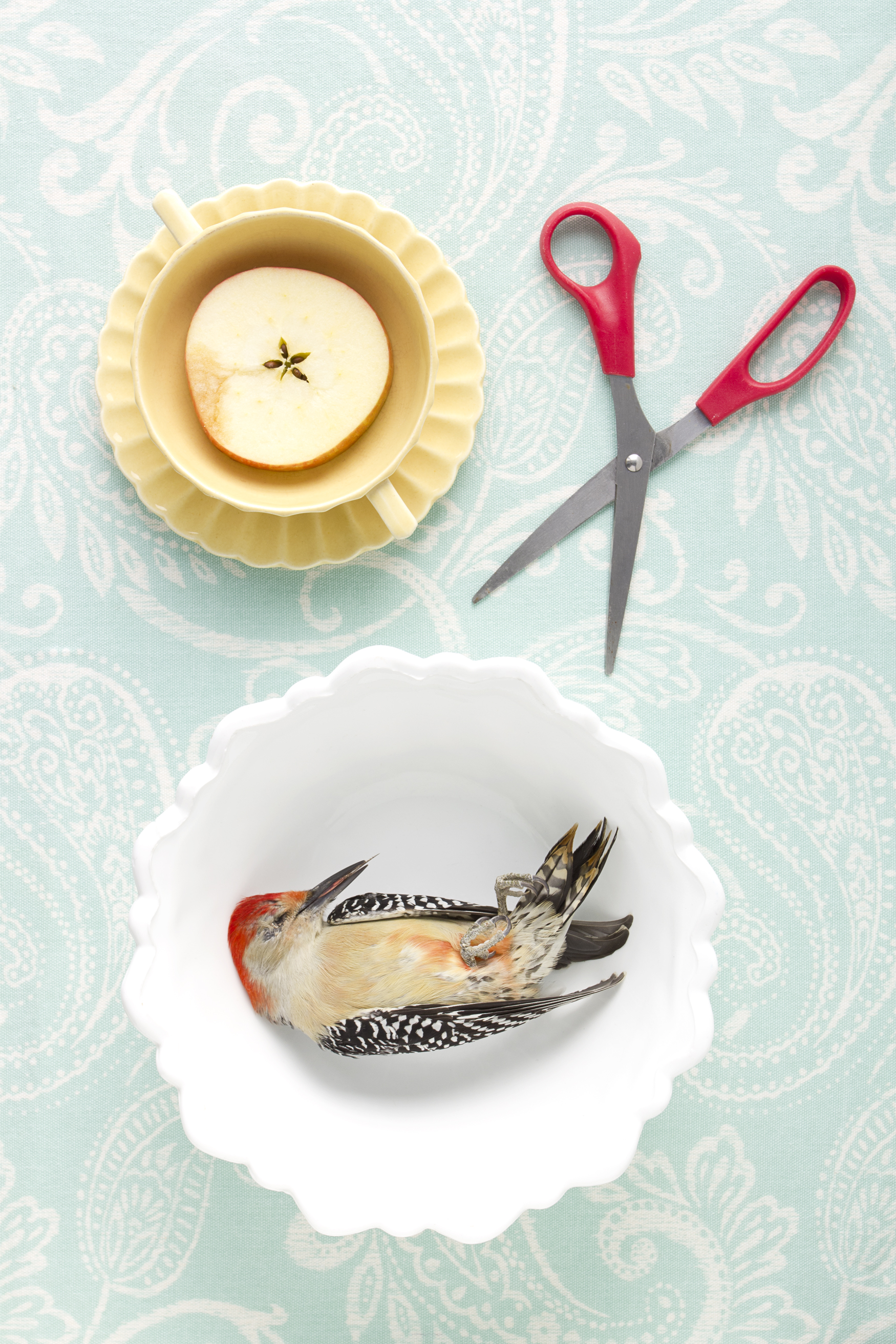 WoodpeckerScissors18x27.jpg