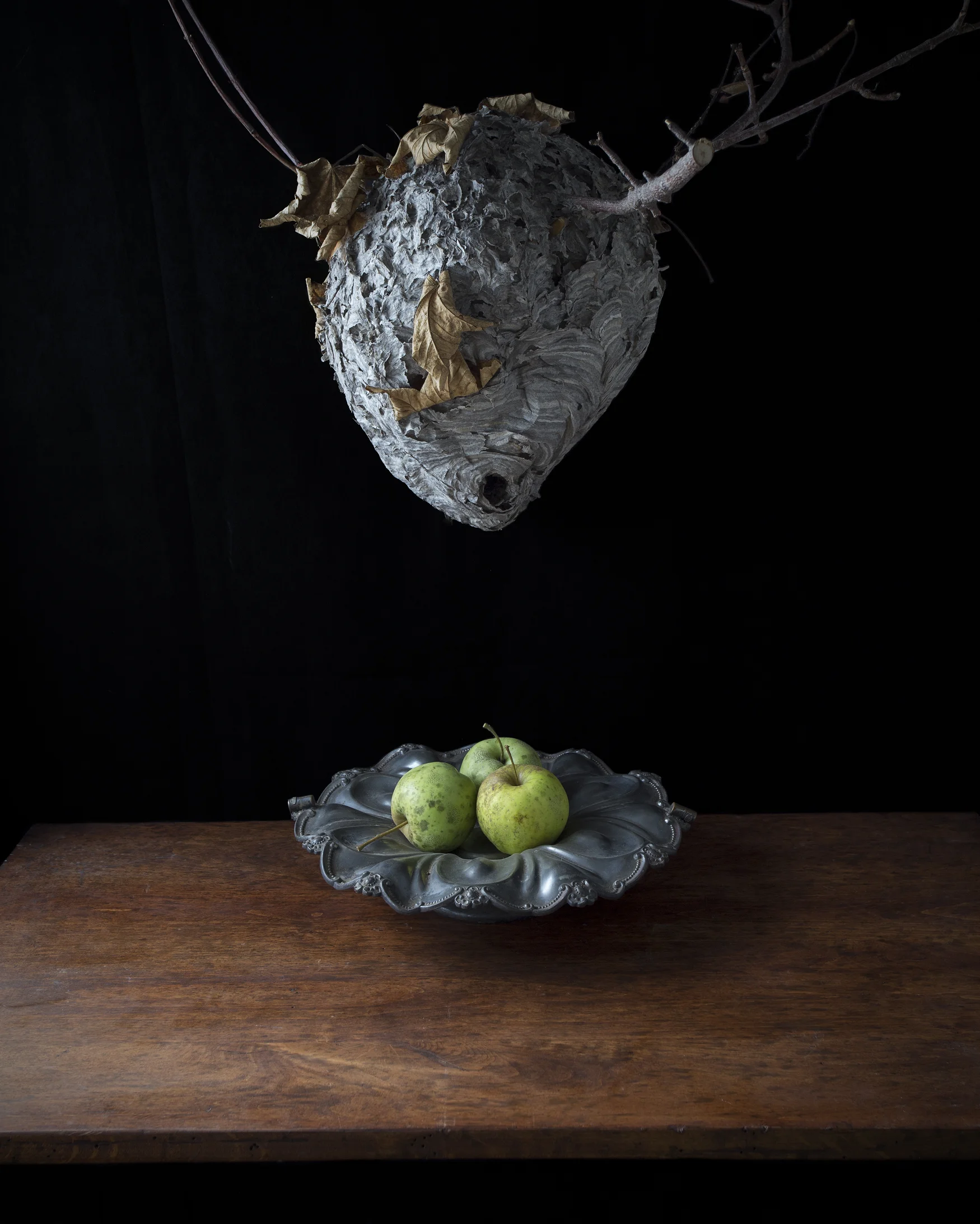 HornetsNestGreenApples.jpg