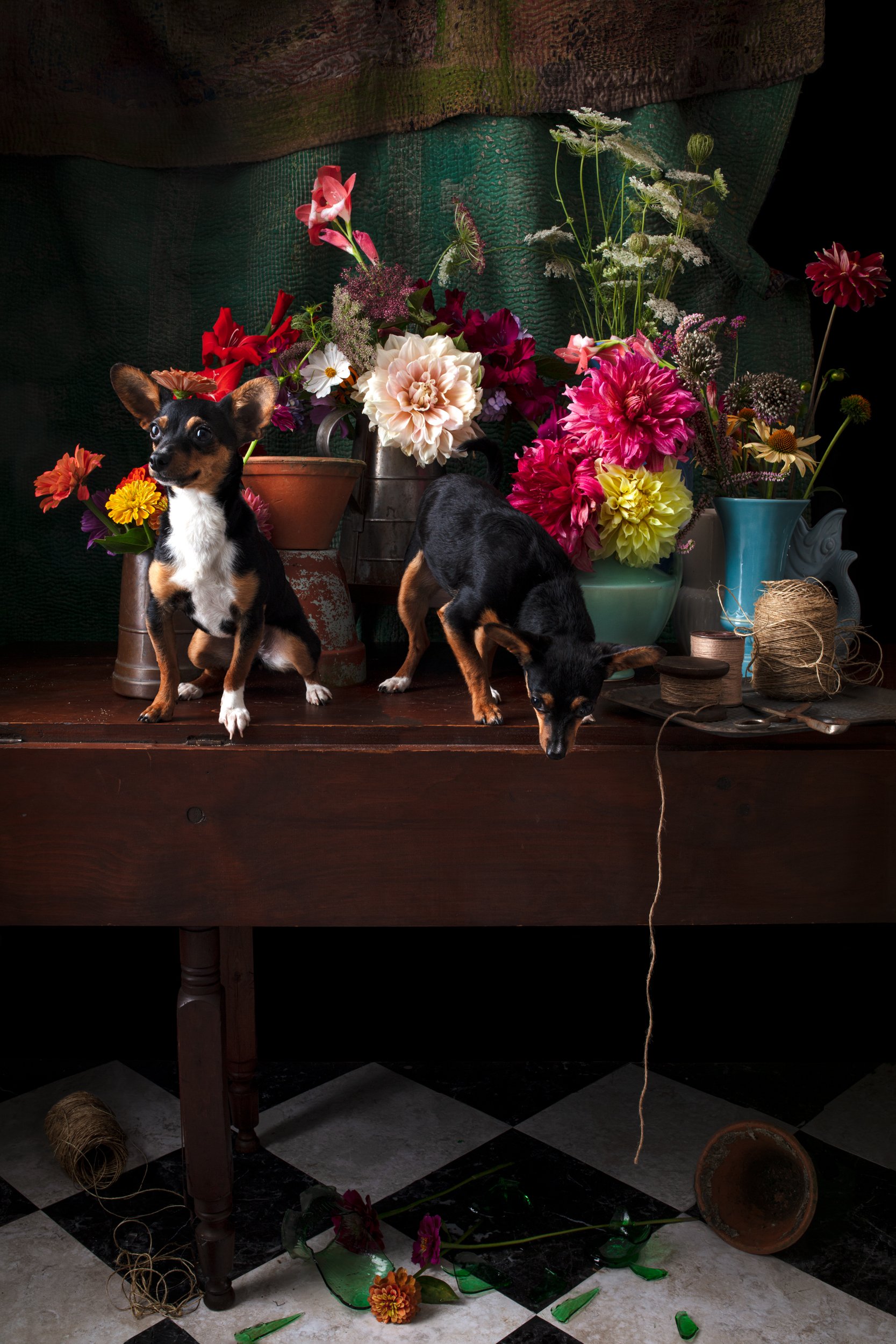 FloristsApprentice.jpg