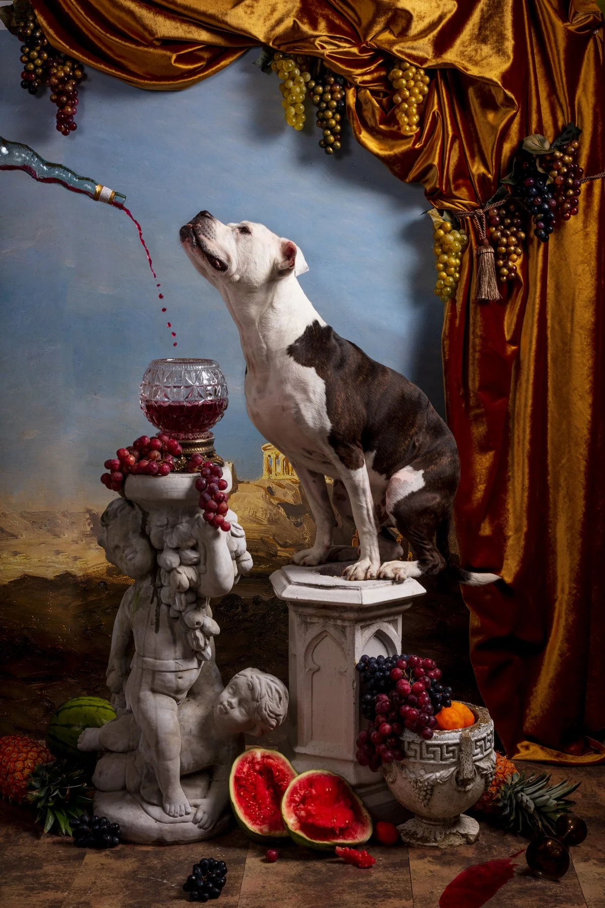 Bacchus_Final_Edit.jpg