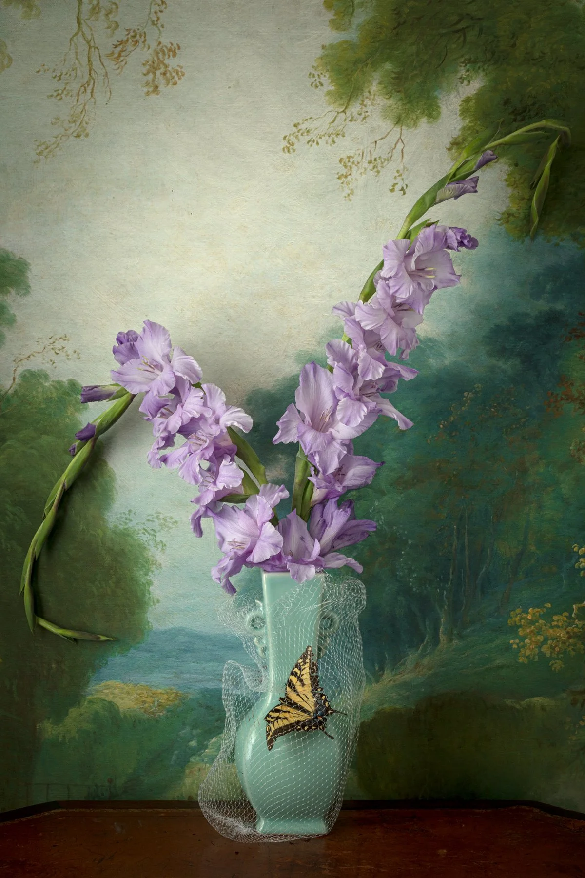 Gladiola_trapped_swallowtail.jpg