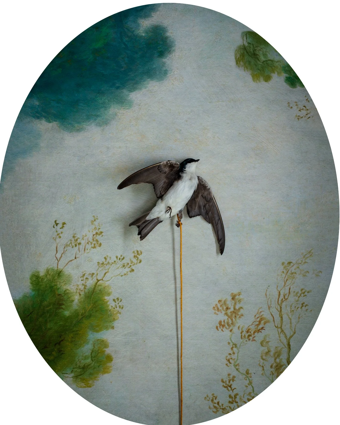 Hanging_Bird_skypainting 17-1.jpg
