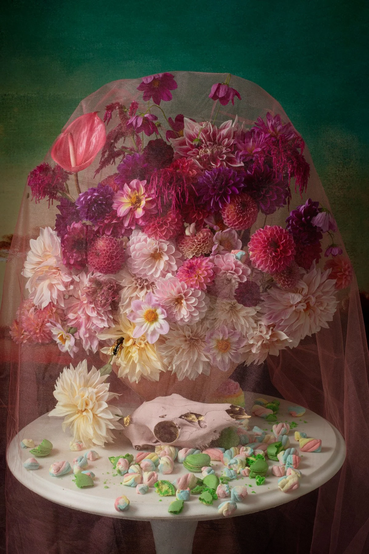 pink_dahlias_skull_candy 34_pinkTuile.jpg