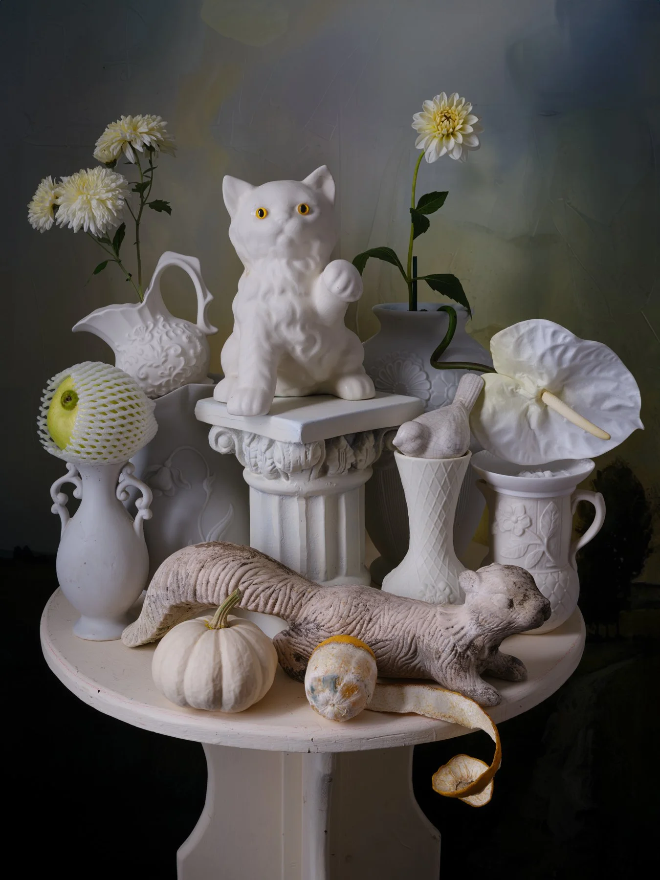 WhiteCat.jpg