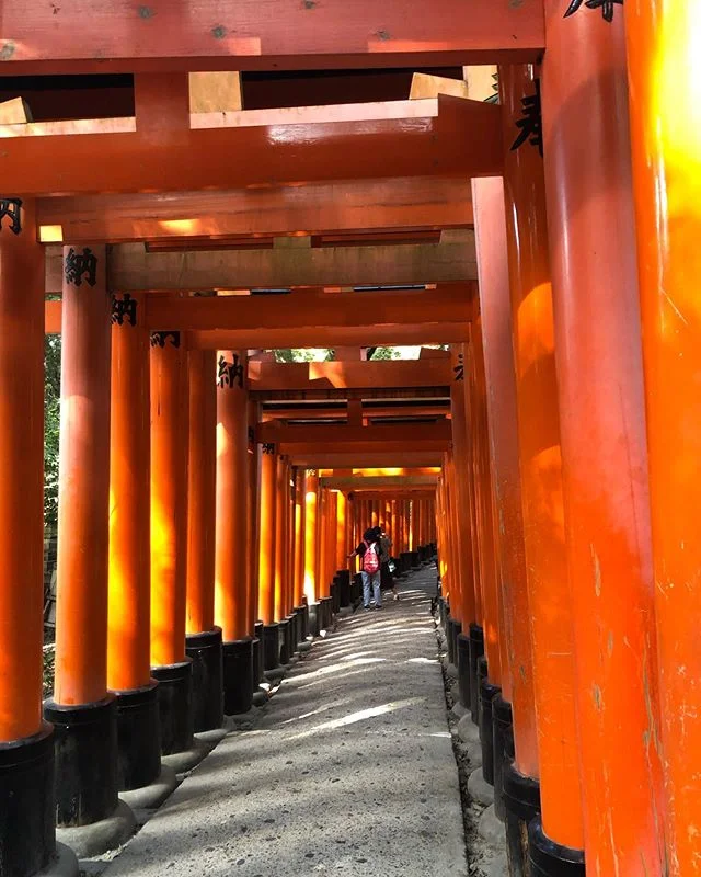Noen tusen torii&rsquo;er, noen hundre Inari (rever), 13 katter og det som f&oslash;les som en million kinesere utkledd i kimono med en fotografmann p&aring; slep. #zen #notsozen