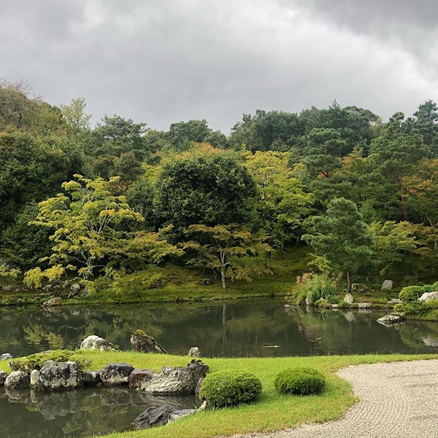 Dette landet er s&aring; fotogent at det er kokko. #japan #kyoto #zengarden