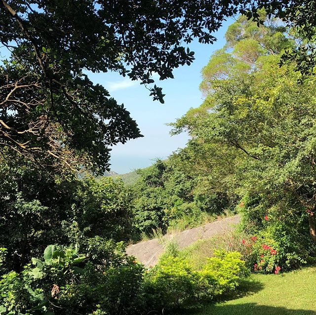 I tre uker var jeg s&aring; heldig &aring; kunne meditere til denne utsikten hver dag. Lantau f&oslash;les definitiv ikke som Hong Kong. Over 200 timer med meditasjon kjennes p&aring; kroppen, men jeg kunne nok klart noen m&aring;neder til. Jeg klart