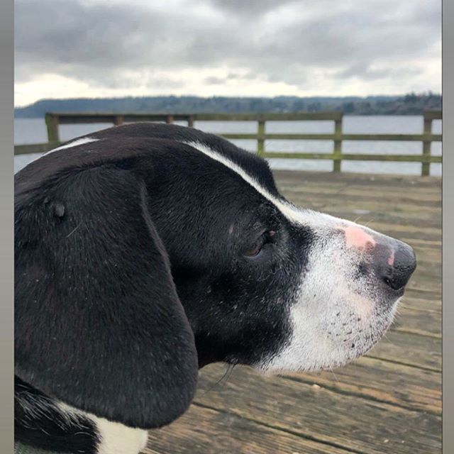 Noe av det som gj&oslash;r meg gladest i hele verden ❤️