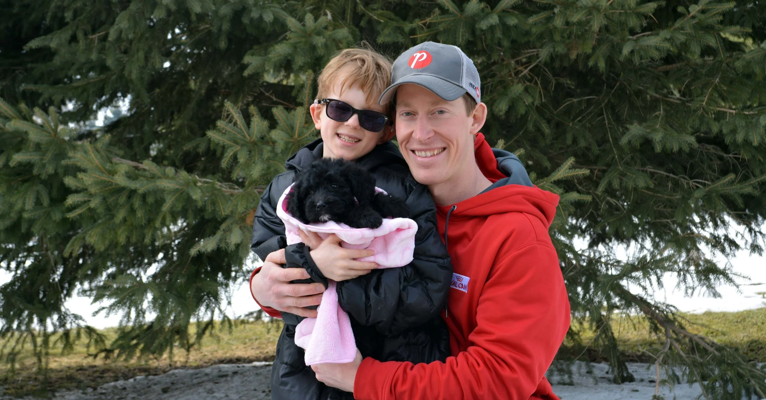 Adoption Process banner.jpg