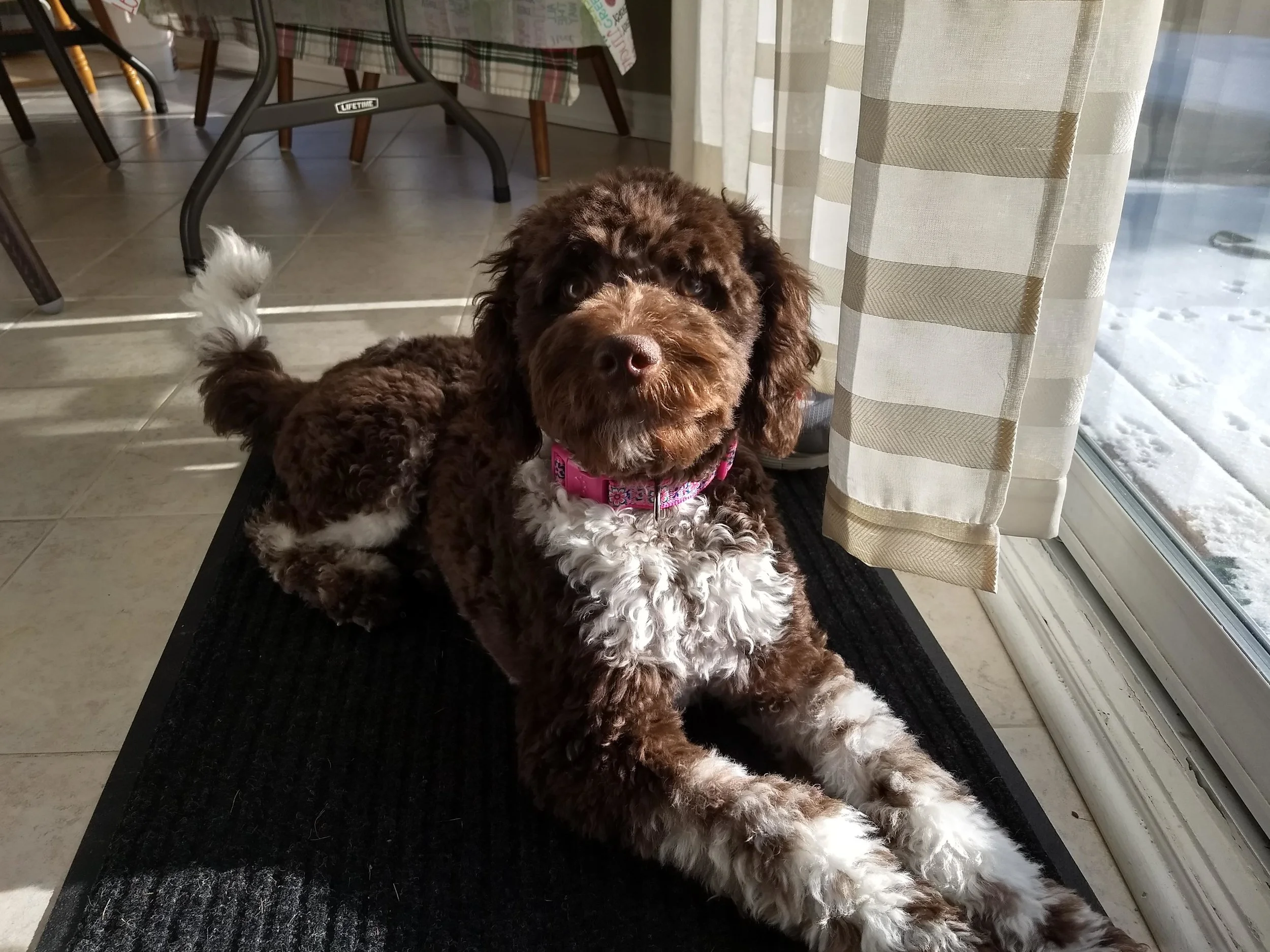 Winnie - Dan Rigley.jpg