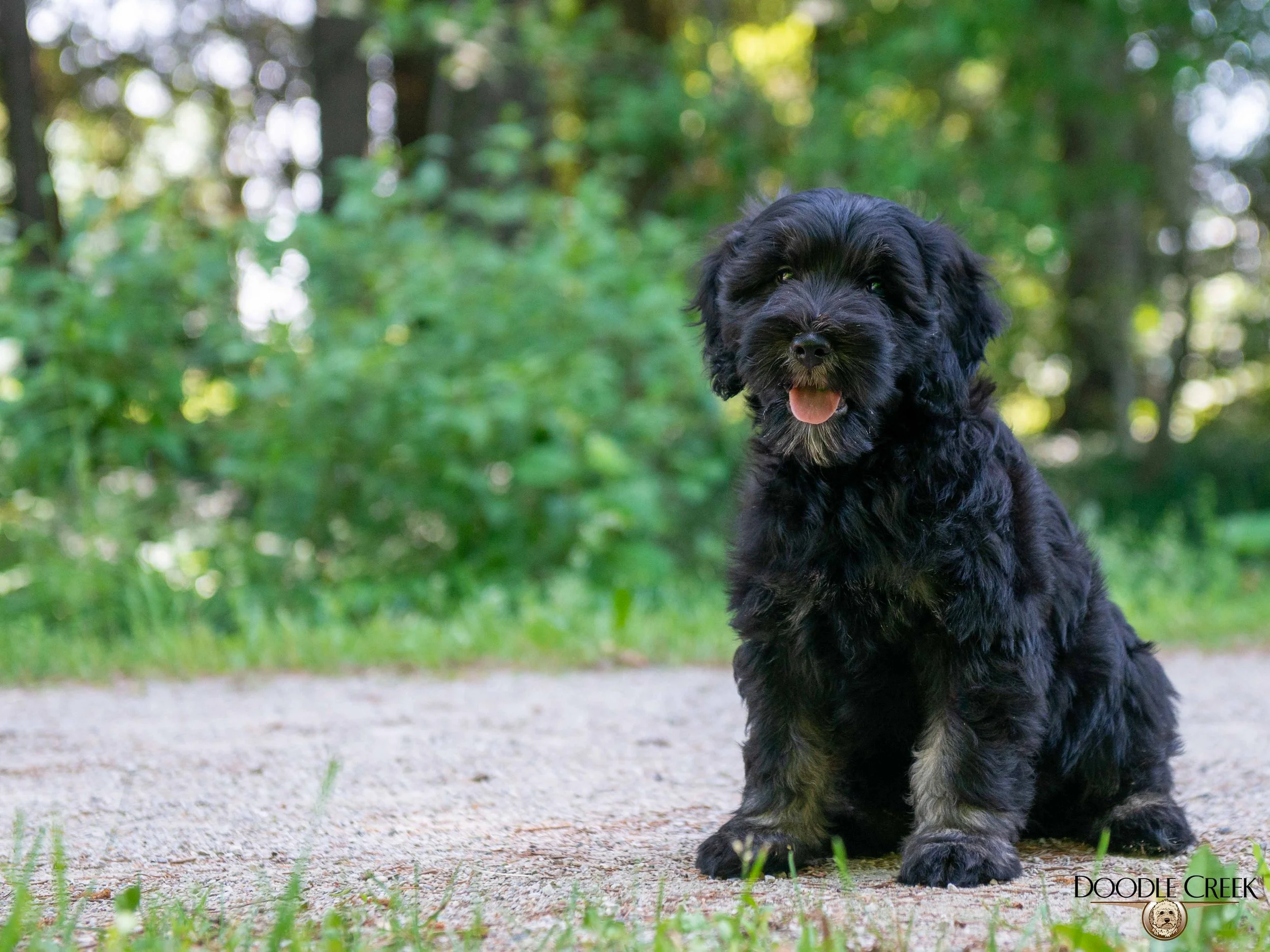 Finn-7.jpg