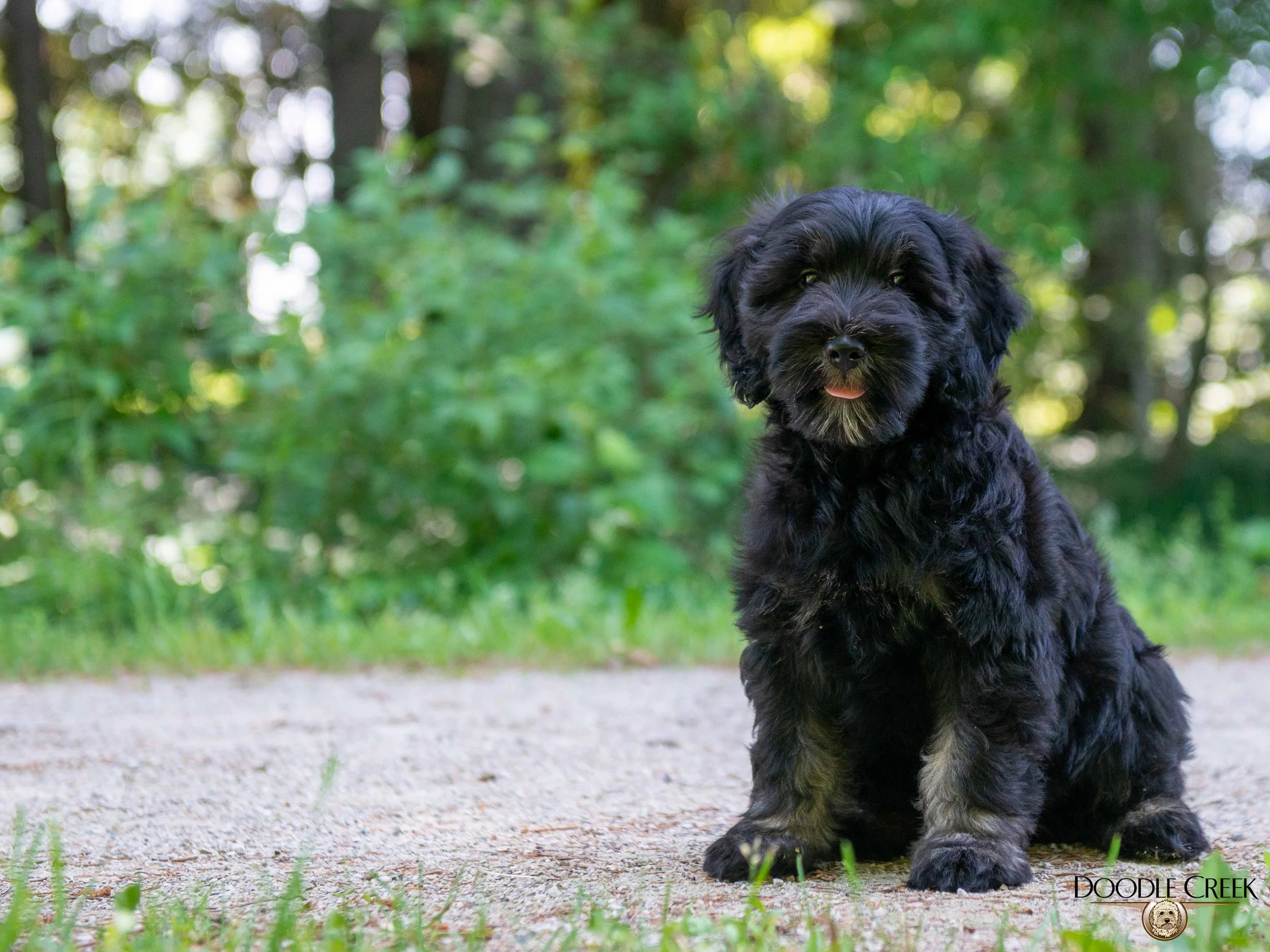 Finn-6.jpg