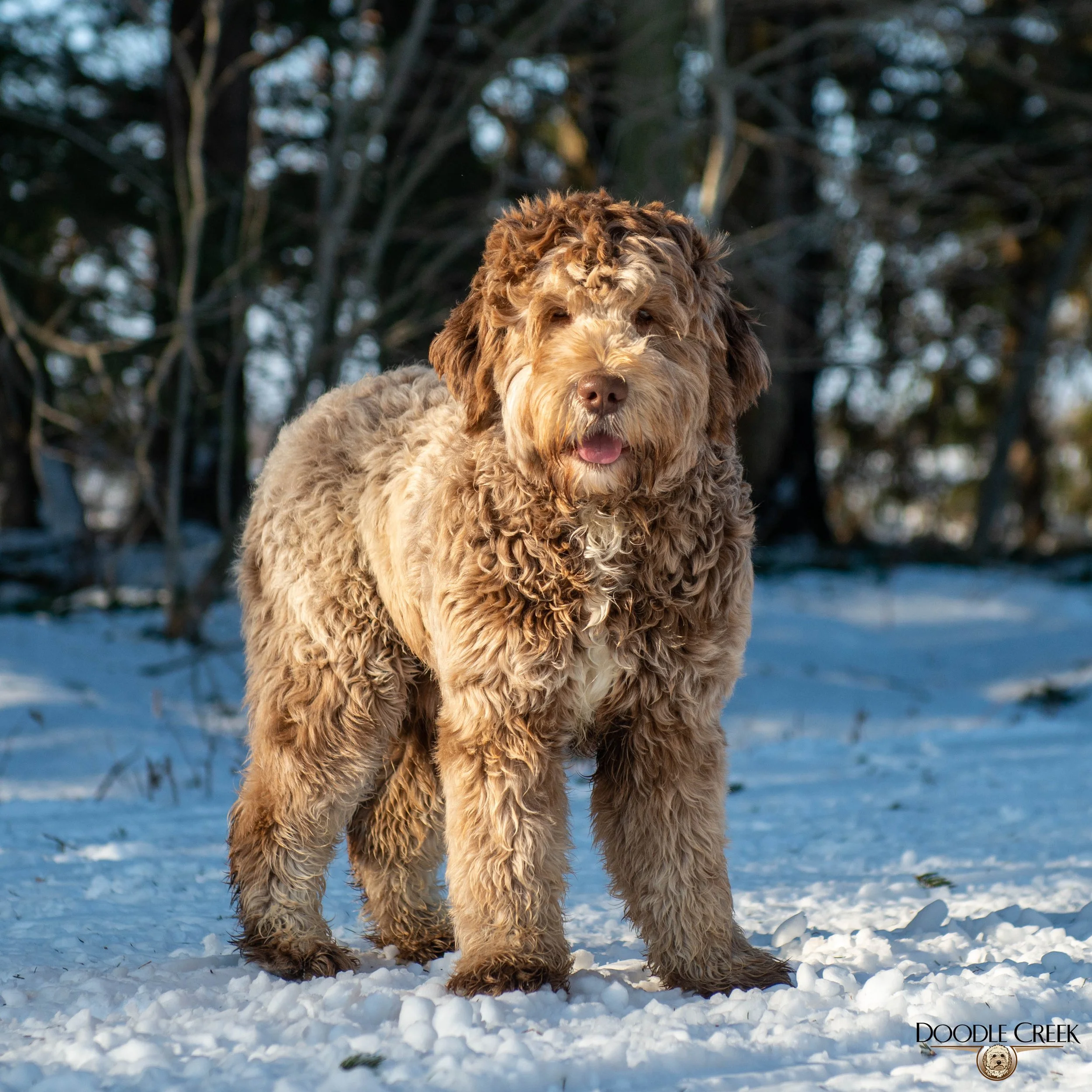 Remington