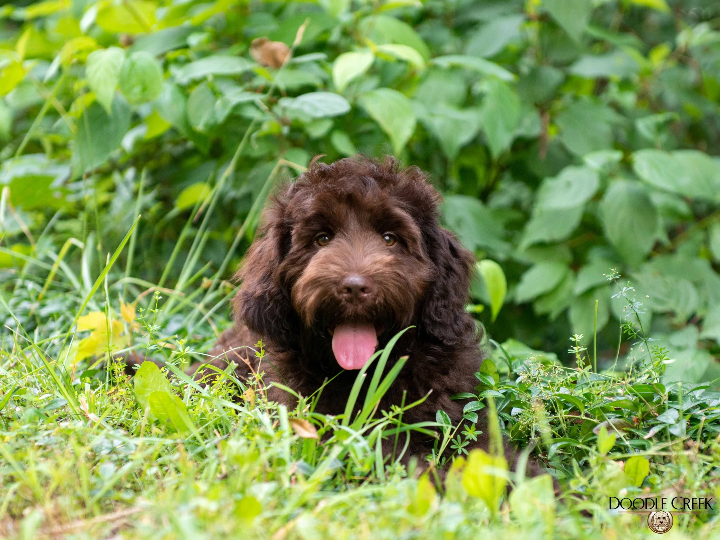 Finley-2.jpg
