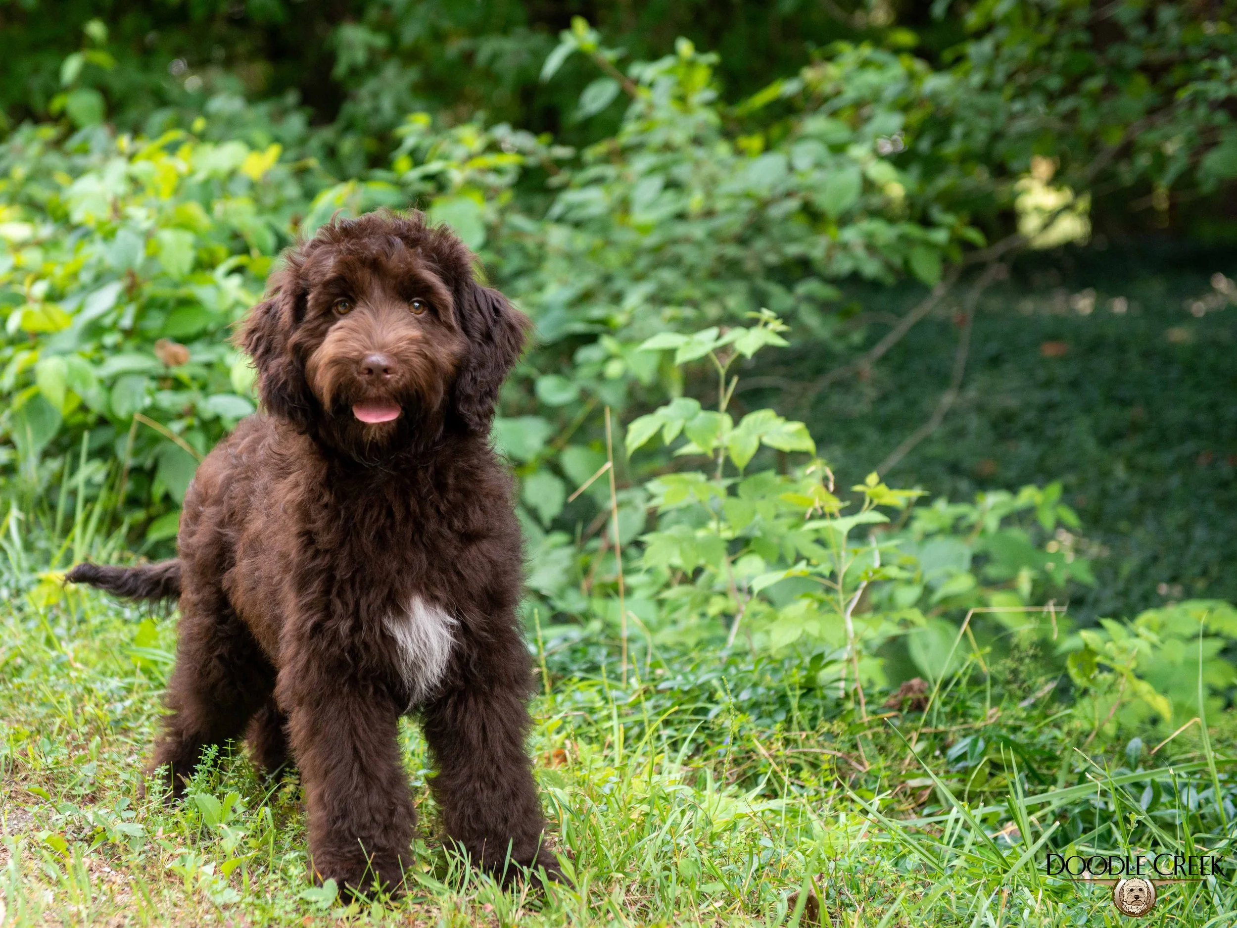 Finley-3.jpg