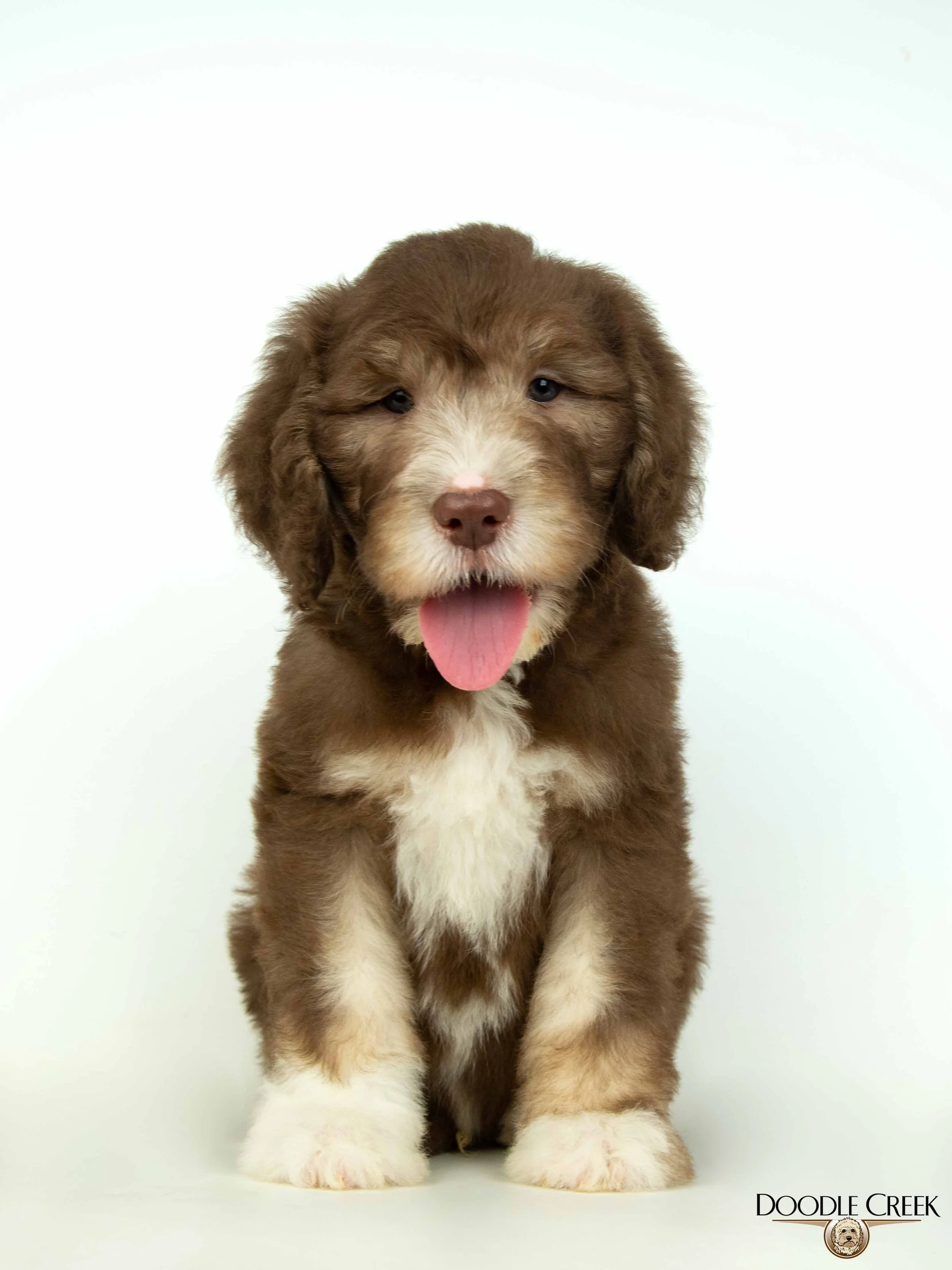 Male-3-3.jpg